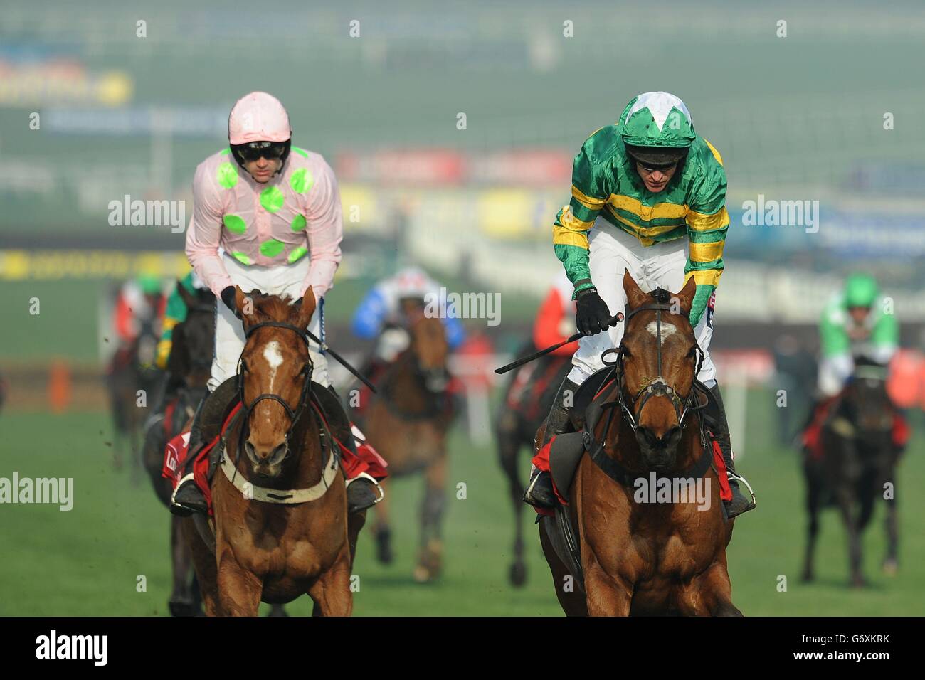 cheltenham festival st patricks day quotes