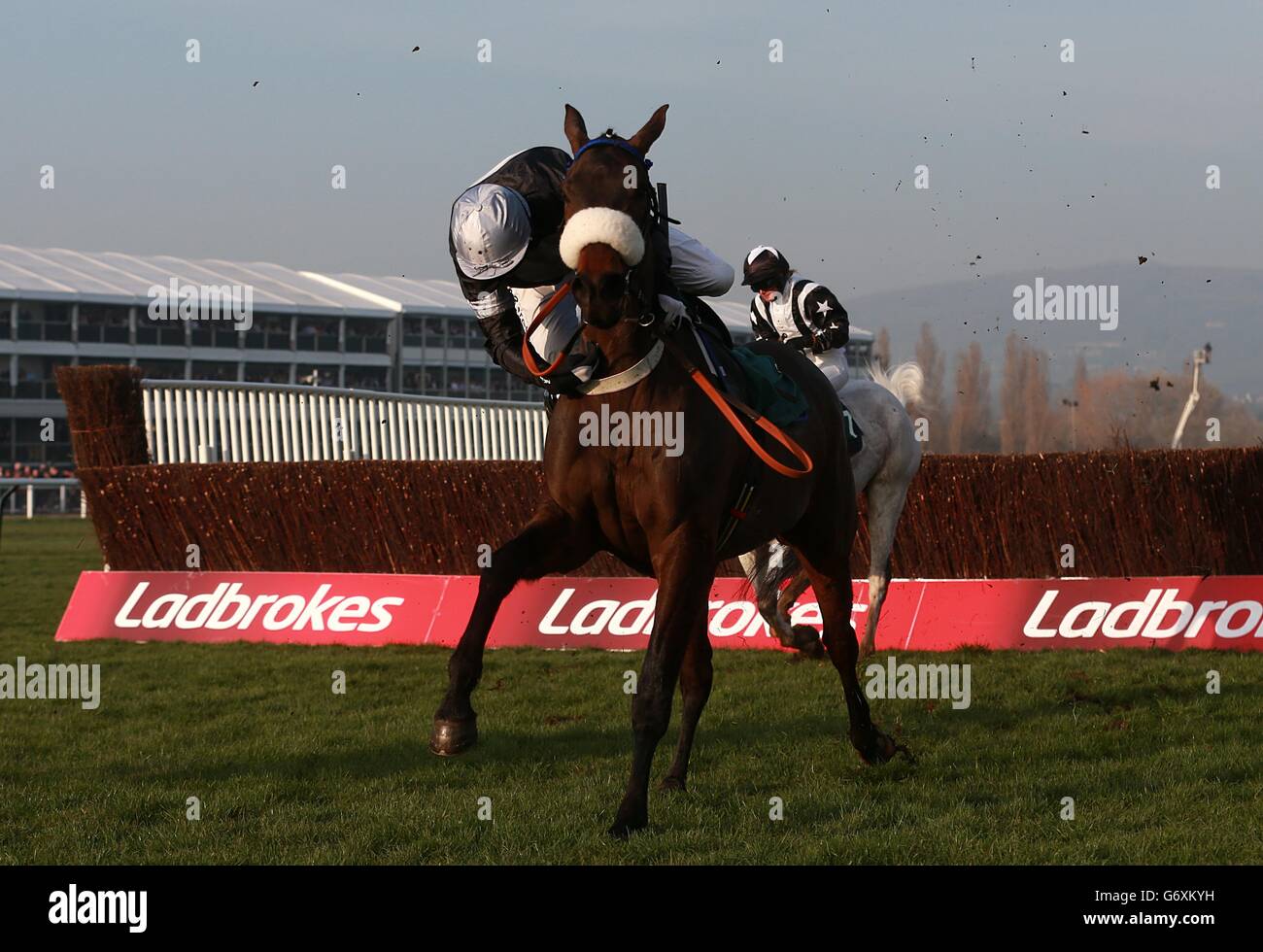 Derek O'Connor struggles to stay on Indian Castle during the Fulke Walwyn Kim Muir Challenge Cup Handicap Chase on St Patrick's Day, during the Cheltenham Festival. Stock Photo