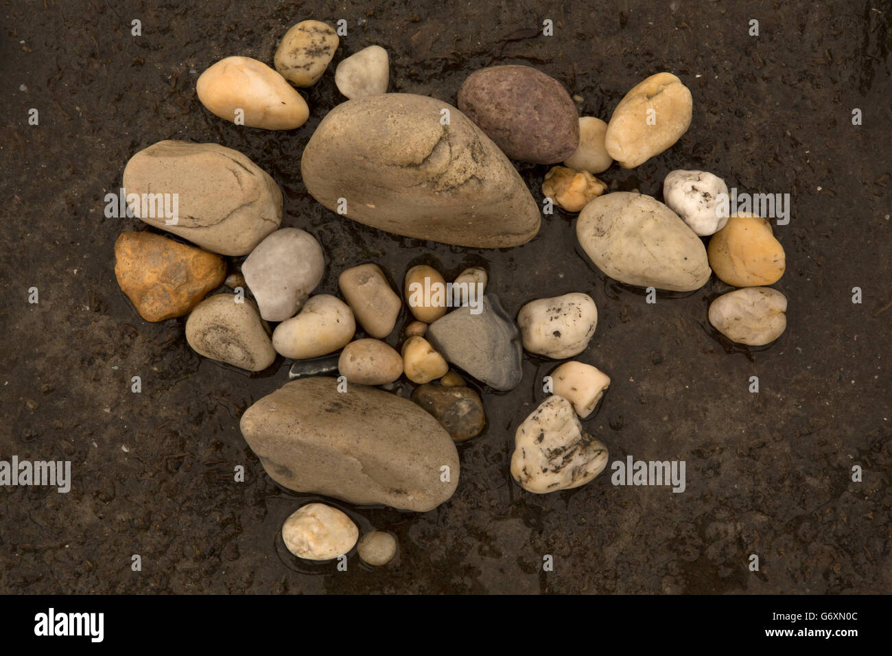 beach rocks, Delaware bay, Delaware Stock Photo