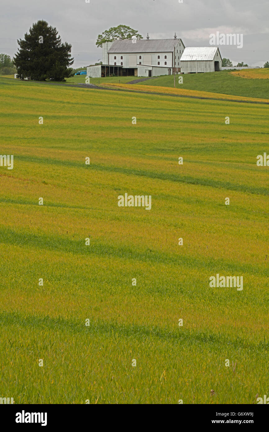 Side farm land hires stock photography and images Alamy