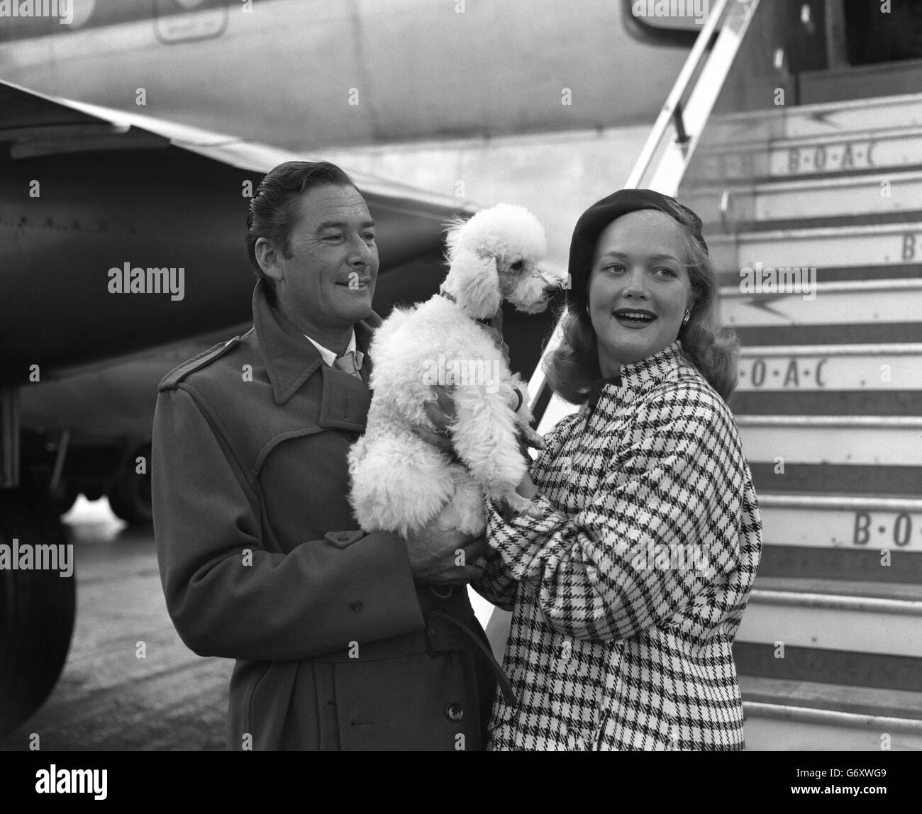 Hollywood actress dog hi-res stock photography and images - Alamy