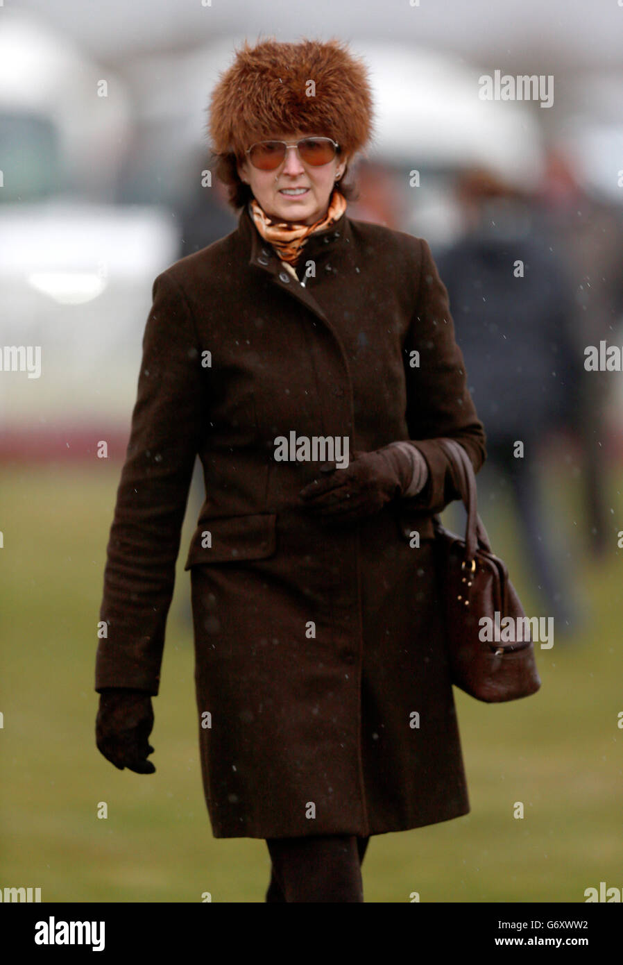 Trainer williams at ludlow racecourse hires stock photography