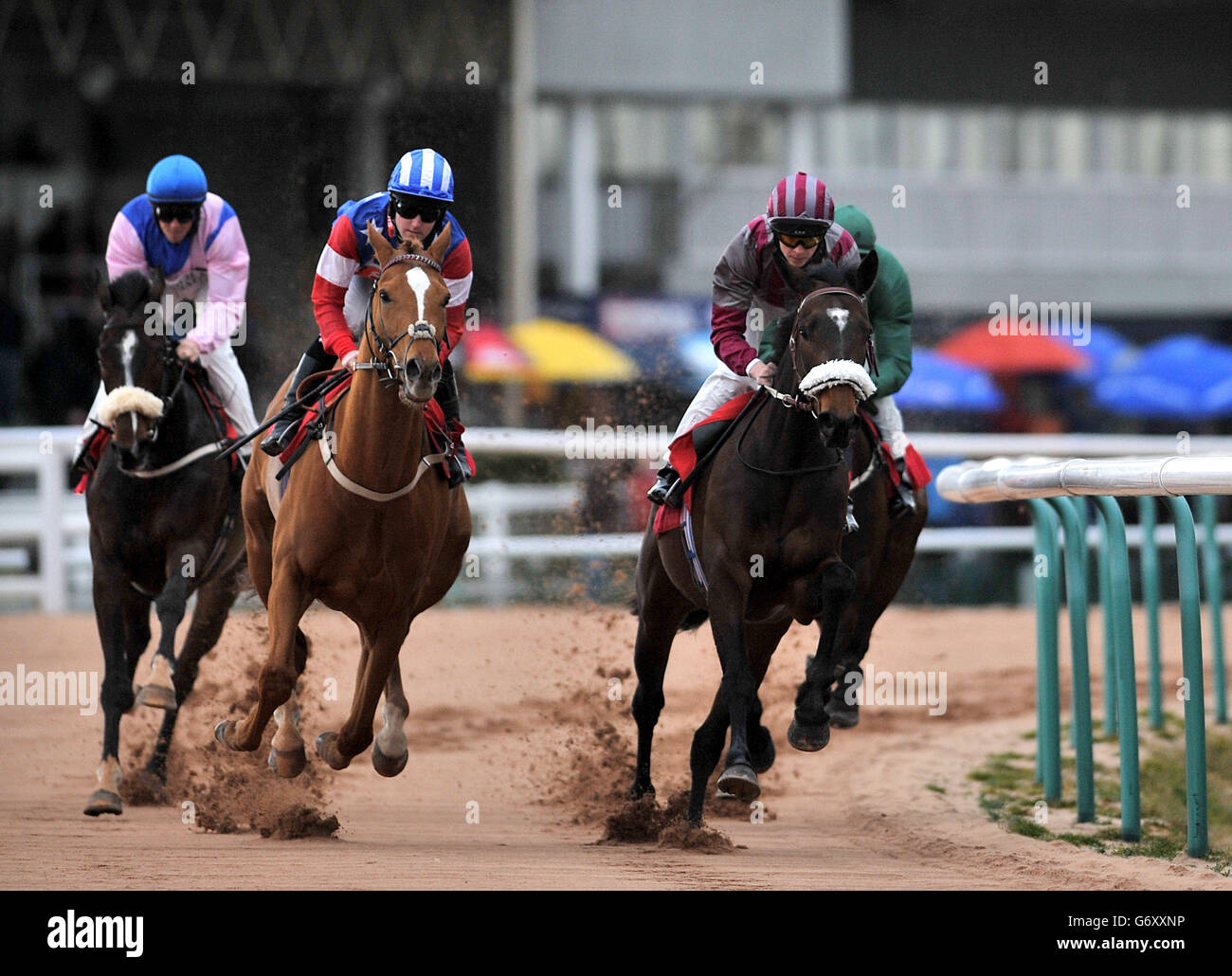 Horse racing southwell racecourse hires stock photography and images