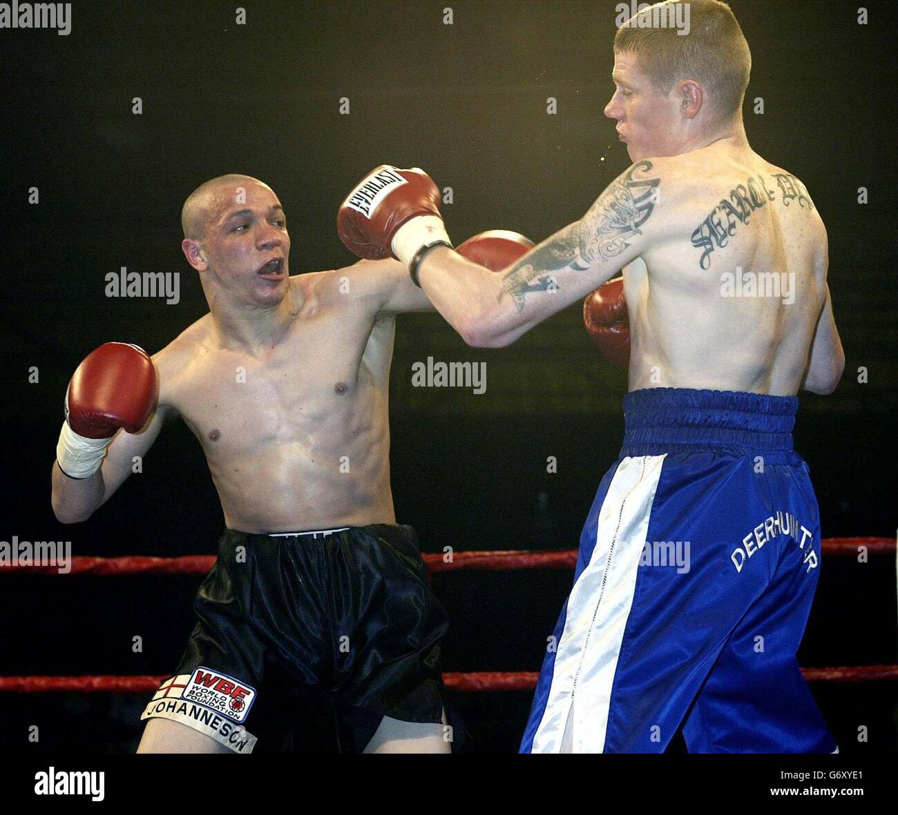 Carl 'Bo' Johanneson from Leeds (now based in USA) lands a heavy left during his victory over Scotland's Andrew Ferrans (right), during their WBF World Super Featherweight Championship at Whitchurch Sports Centre, Bristol. Stock Photo