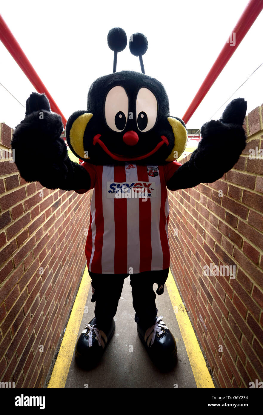 Soccer - Sky Bet League One - Brentford v Notts County - Griffin Park. Buzz the Brentford mascot before the game Stock Photo