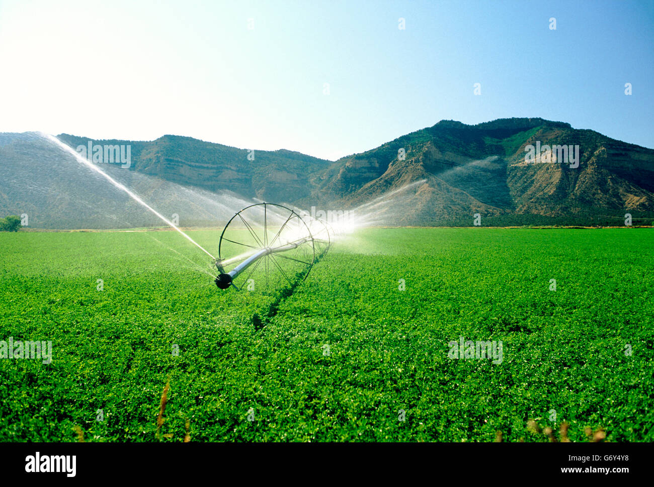 Irrigation equipment spraying water on farm fields near Cortez, Colorado, USA Stock Photo