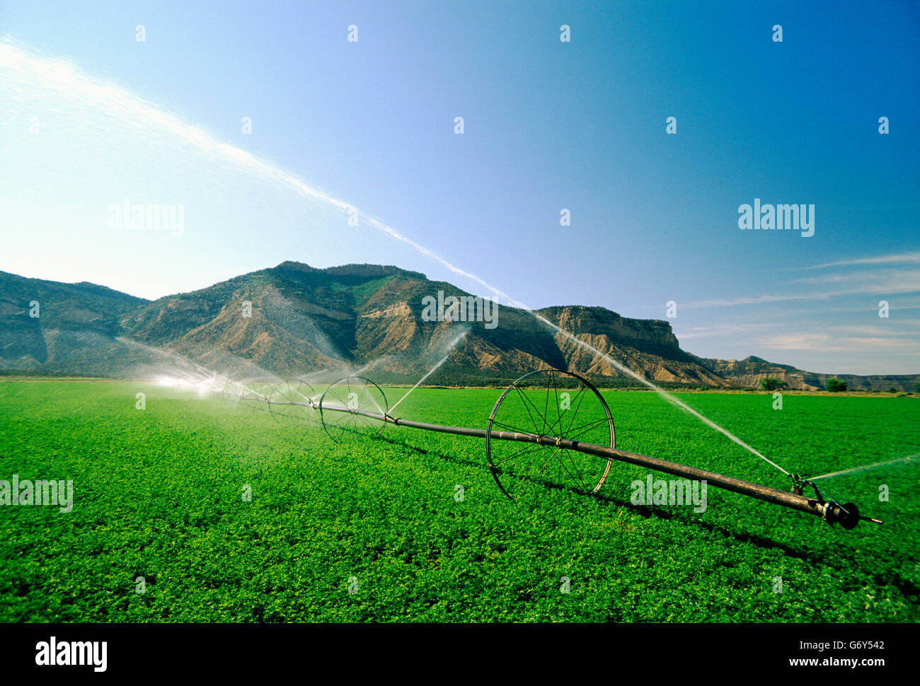 Irrigation equipment spraying water on farm fields near Cortez, Colorado, USA Stock Photo