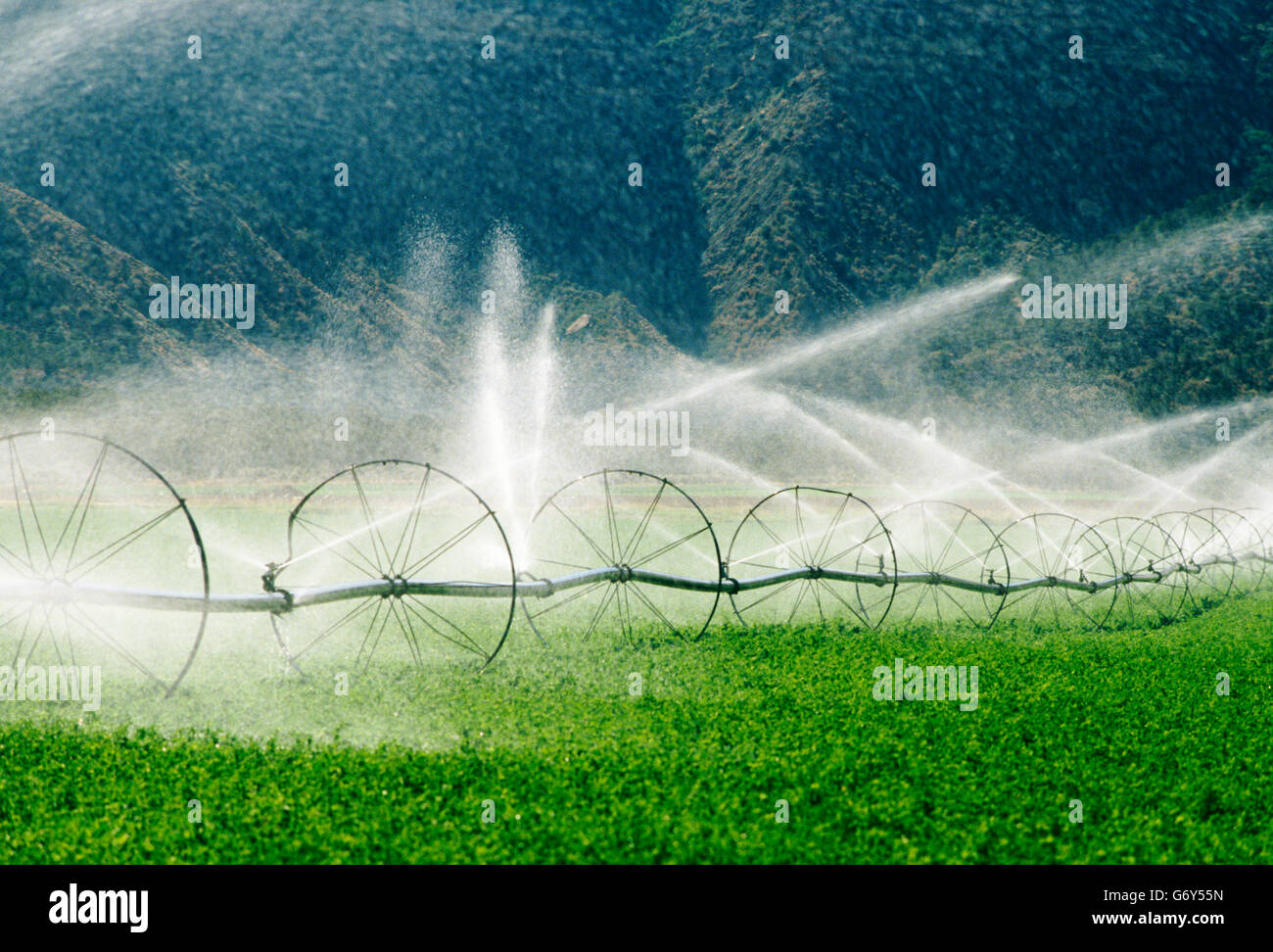 Irrigation equipment spraying water on farm fields near Cortez, Colorado, USA Stock Photo