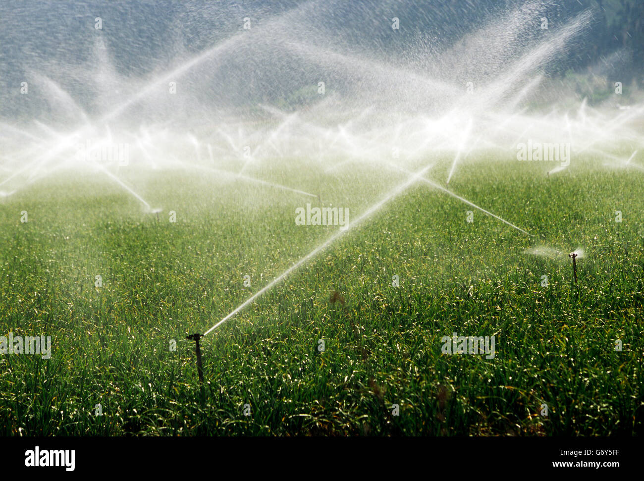 Irrigation equipment spraying water on farm fields near Carson City