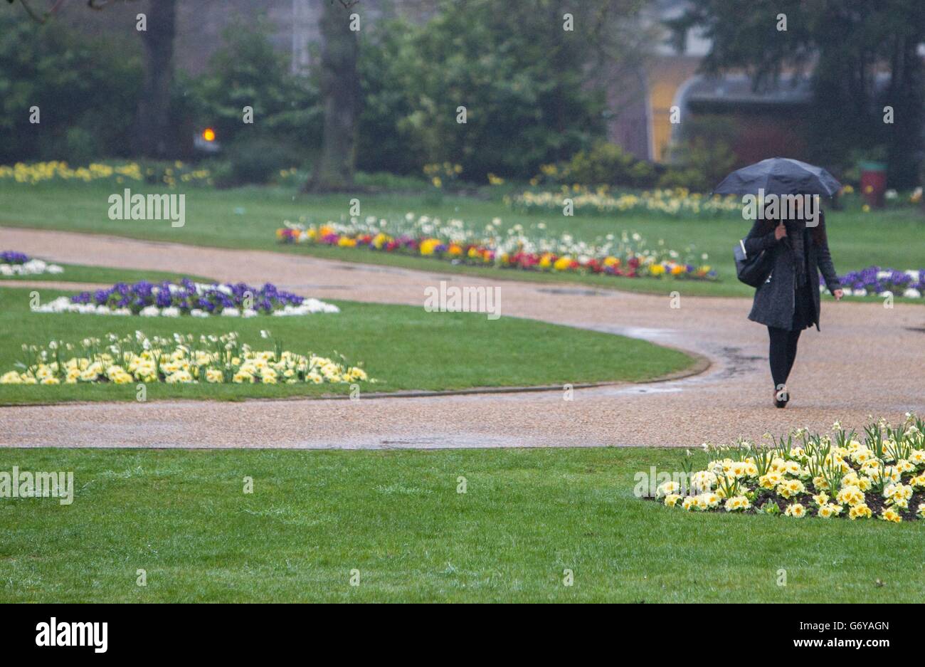 People walk in rain forbury gardens in reading hires stock photography