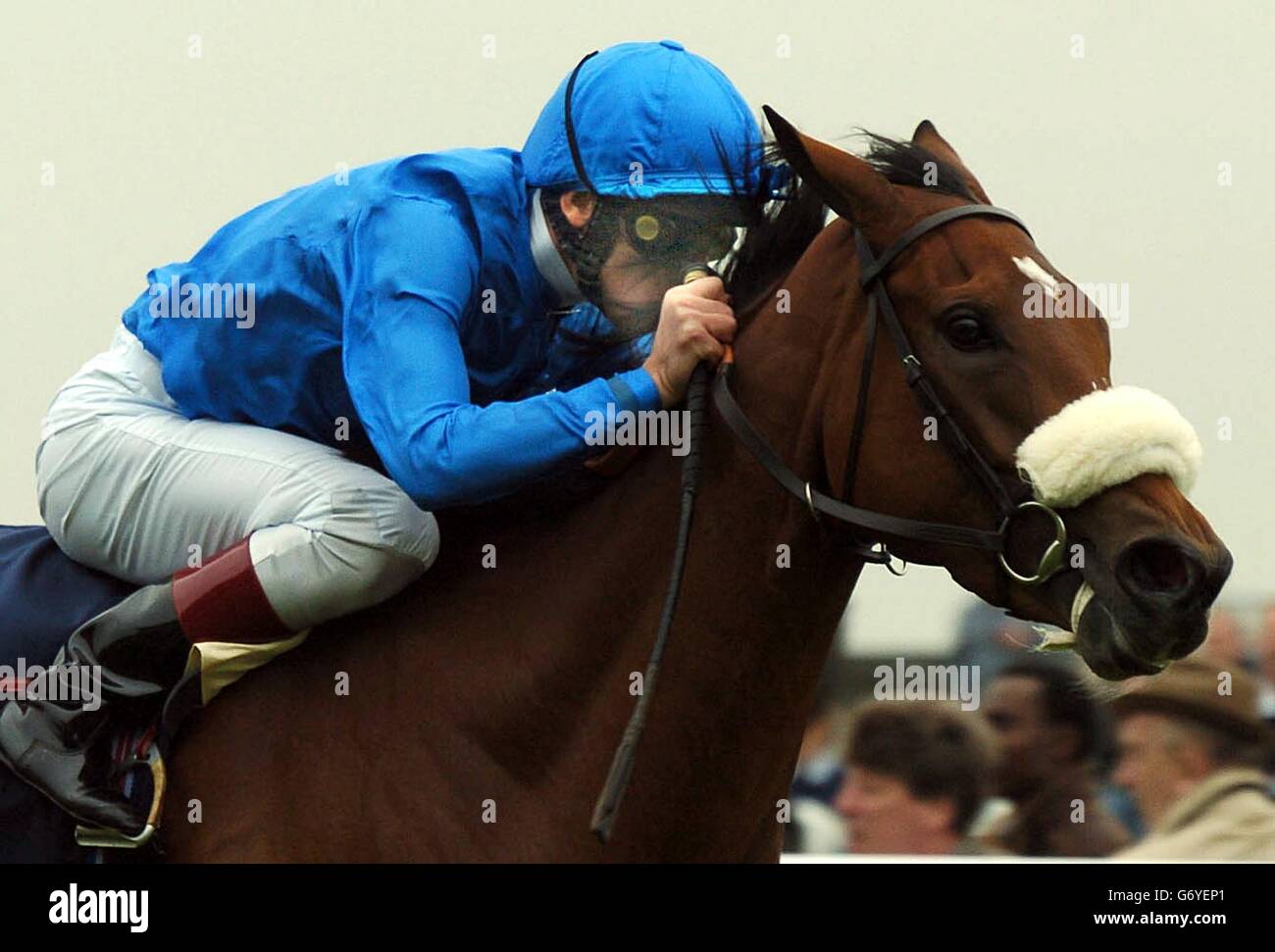 Wins tattersalls musidora stakes hi-res stock photography and images ...