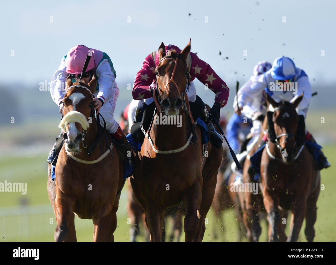 Horse Racing - Irish Lincolnshire/Lodge Park Stud Park Express Stakes Day - Curragh Racecourse Stock Photo