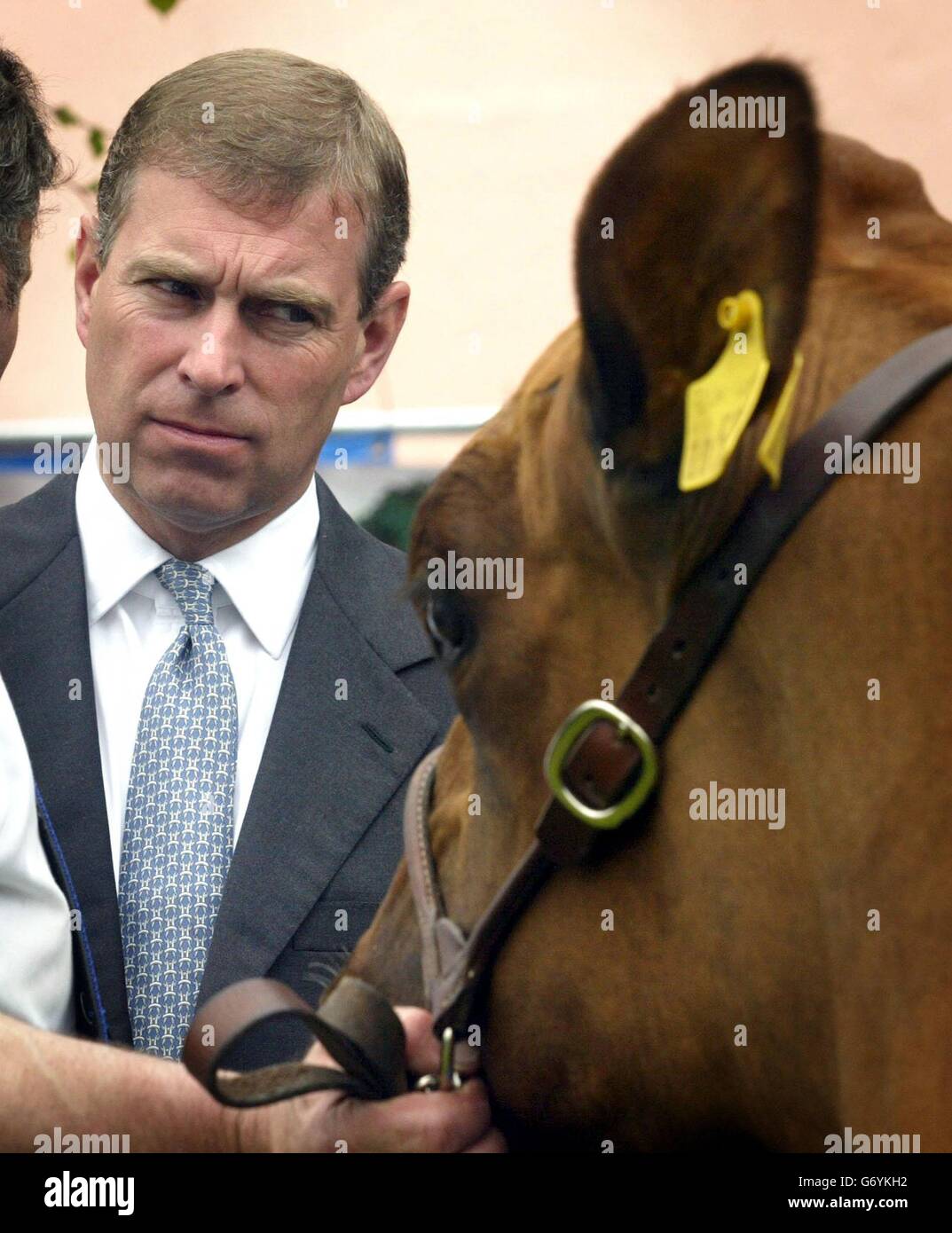 The duke of york in his capacity as partron hires stock photography