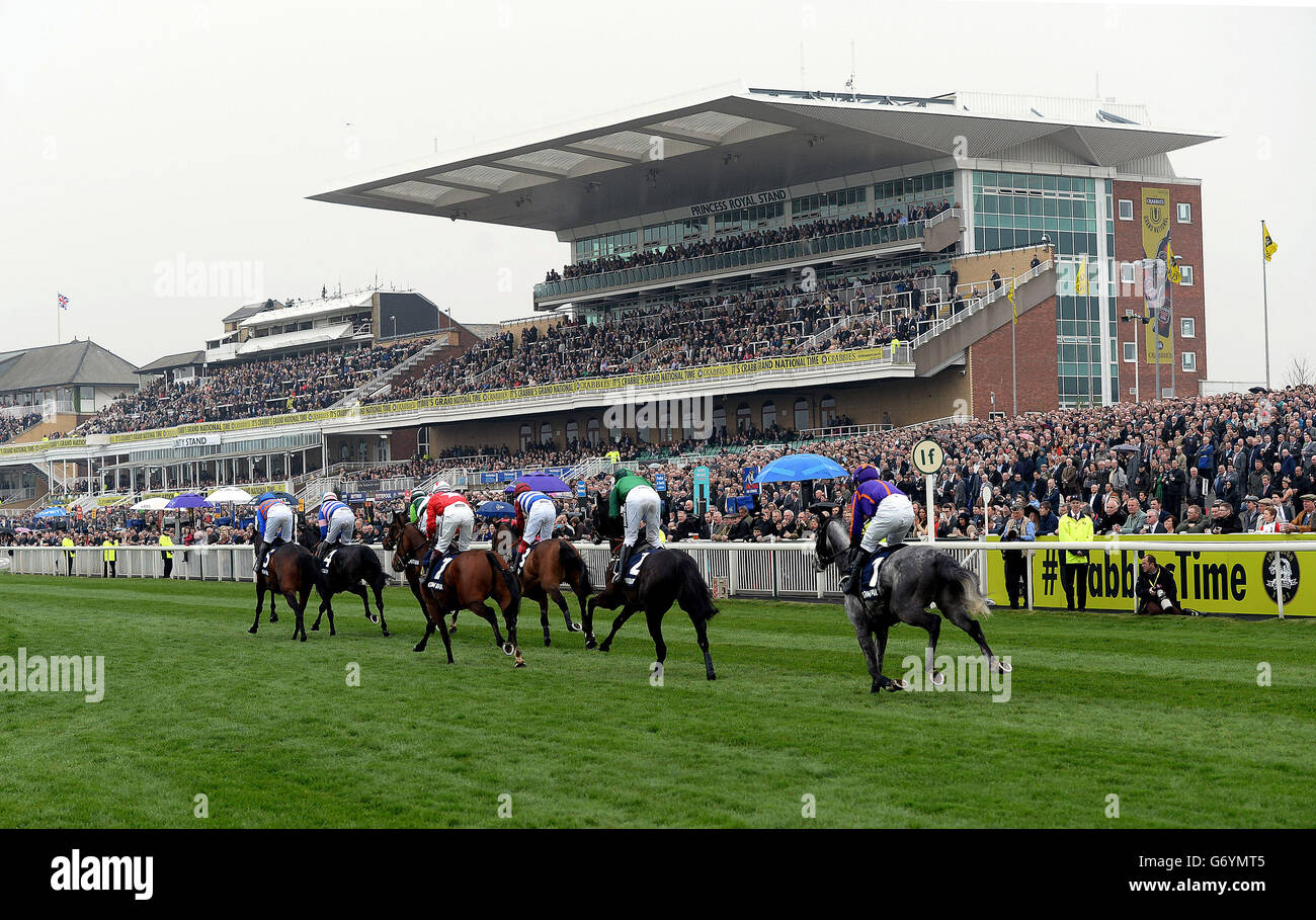 Runners in the Doom Bar Aintree Hurdle pass the stands during the Crabbie's Grand National 2014, Grand Opening Day at Aintree Racecourse, Liverpool. Stock Photo
