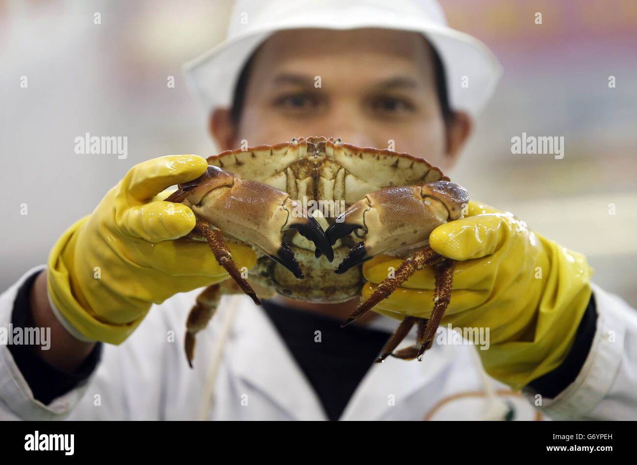 A live crab at the SeeWoo oriental food specialist supermarket in