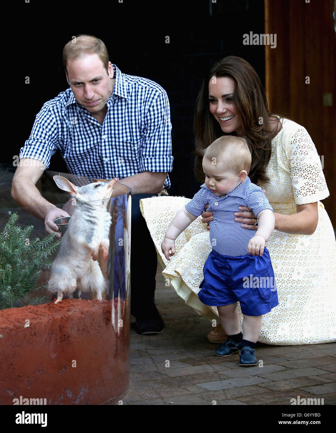 The Duke and Duchess of Cambridge and Prince George of Cambridge look at a Bilby called George at Taronga Zoo in Sydney, Australia, The Duke and Duchess of Cambridge are on a three-week tour of Australia and New Zealand. Stock Photo