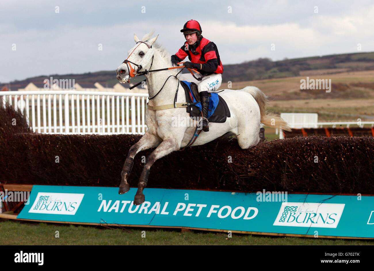 Chase ffos las racecourse hi-res stock photography and images - Alamy