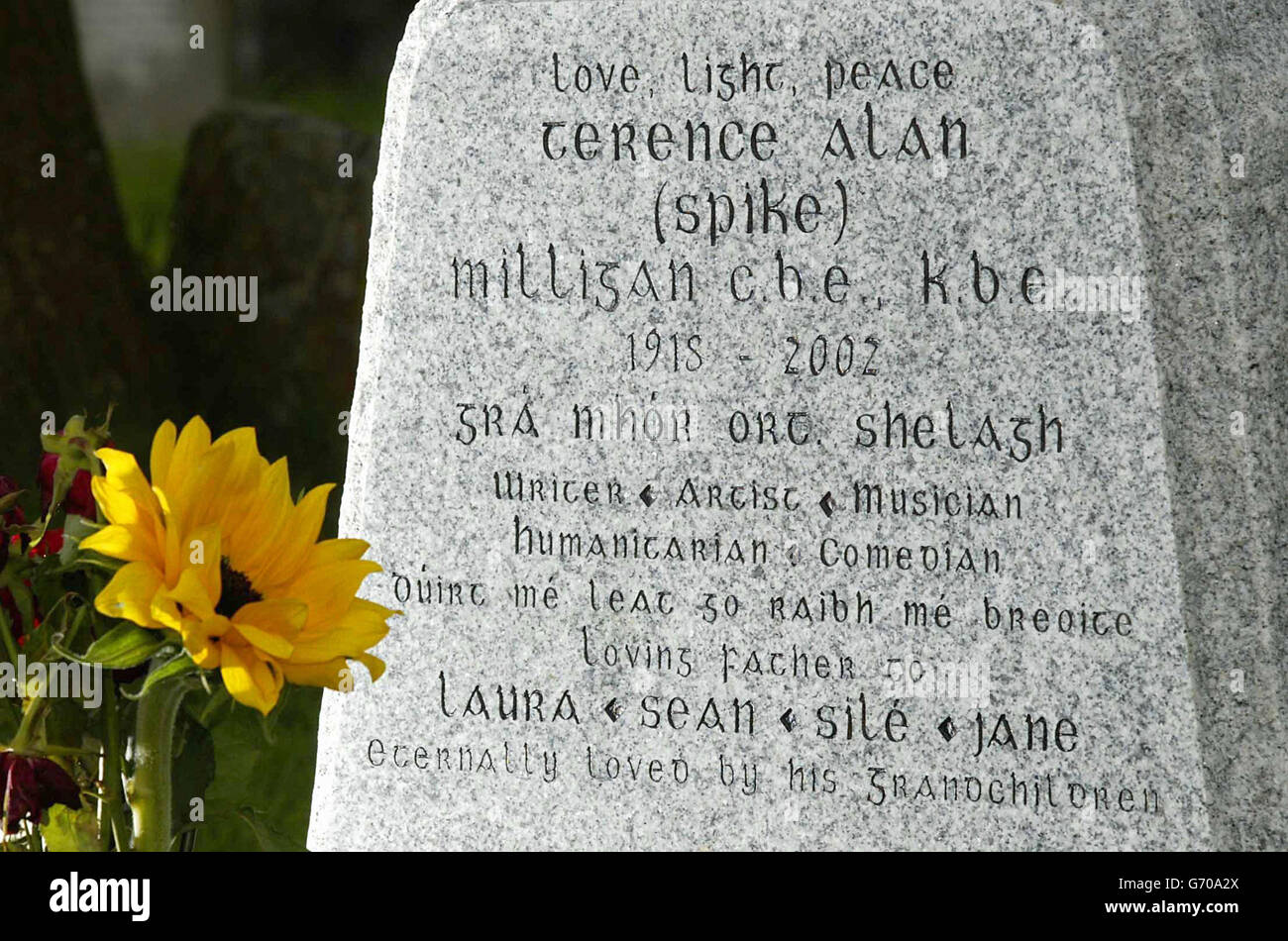 The newly erected headstone of Spike Milligan in the grounds of St. Thomas the Martyr Church, Winchelsea, East Sussex which includes in the inscription, his own epitaph in Gaelic which translated means ' I told you I was ill '. Stock Photo