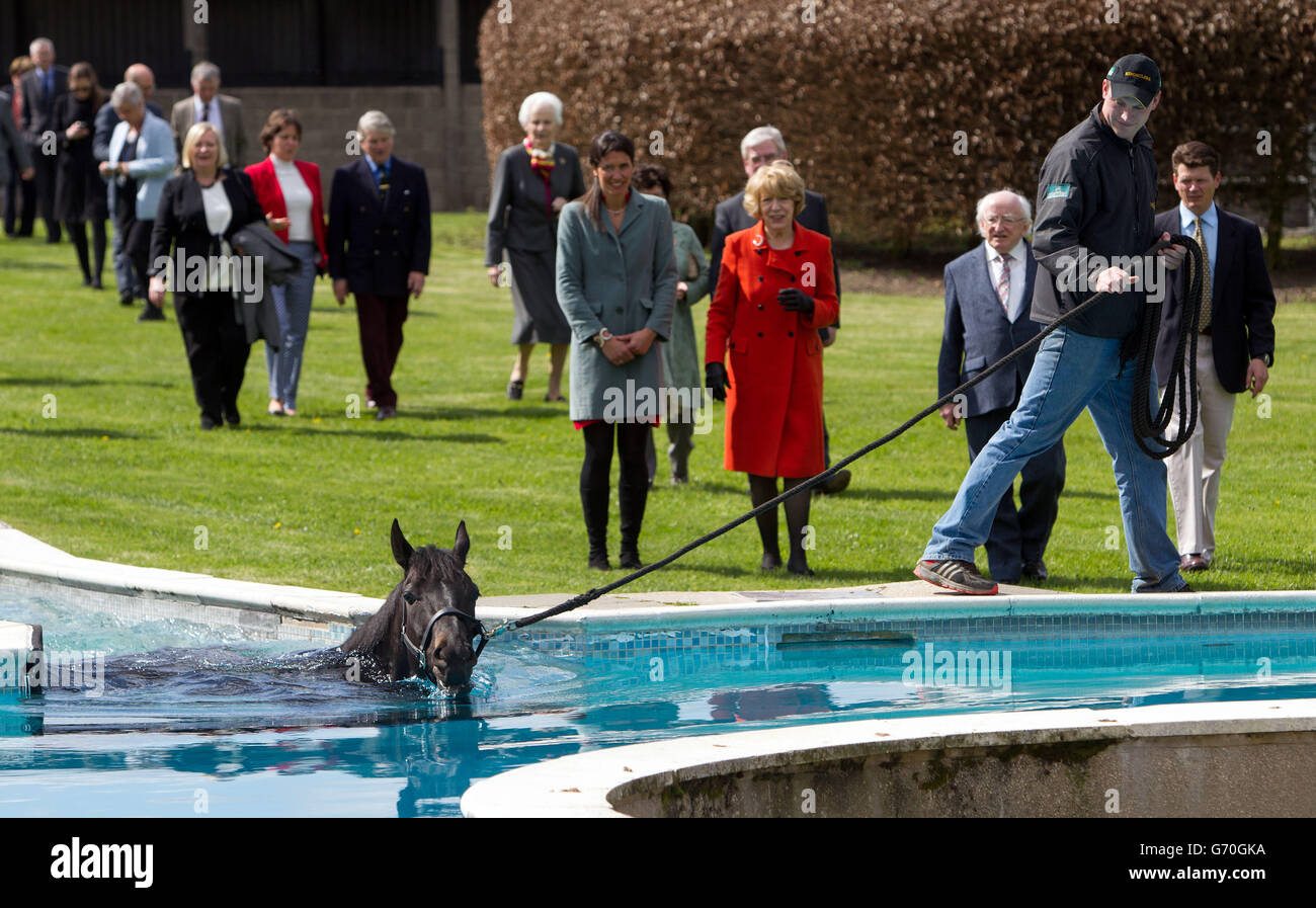 President of Ireland Michael D Higgins, wife Sabina Higgins, Trainer Andrew Balding and his wife Anna Lisa watch a horse exercise in the Equine Pool at Park House Stables, Kingsclere, Newbury, Berkshire, during his state visit to the UK. Stock Photo