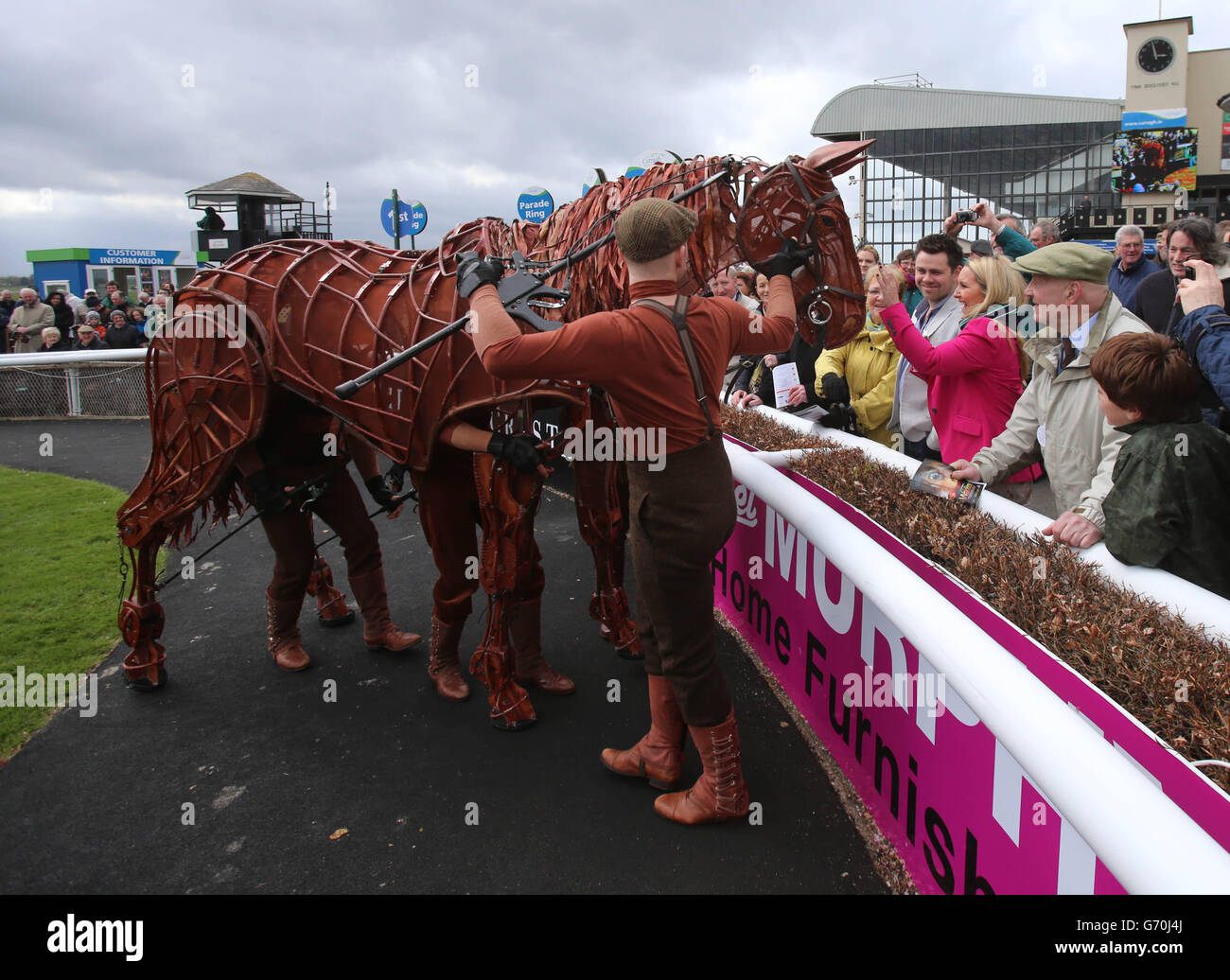 Joey the star of War Horse meets the public in the parade ring during Big Bad Bob Gladness Stakes/War Horse Race Day at The Curragh Racecourse, Co Kildare, Ireland. Stock Photo
