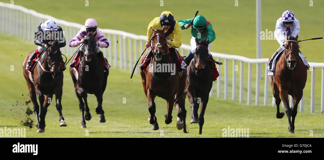 Inis Meain ridden by Danny Mullins wins The Irish Field Alleged Stakes (Listed Race) during Big Bad Bob Gladness Stakes/War Horse Race Day at The Curragh Racecourse, Co Kildare, Ireland. Stock Photo