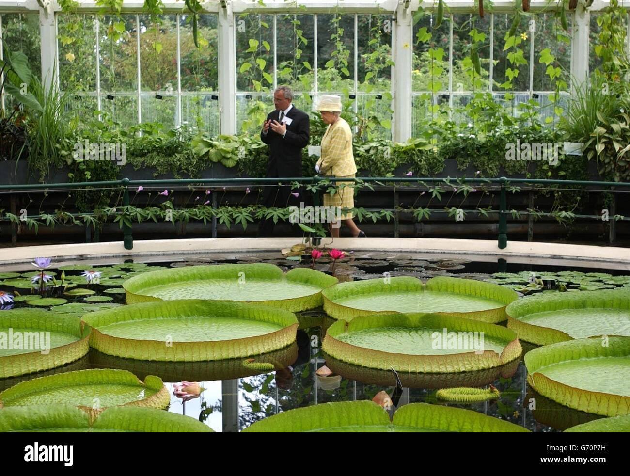 Queen Royal Botanical Gardens Stock Photo
