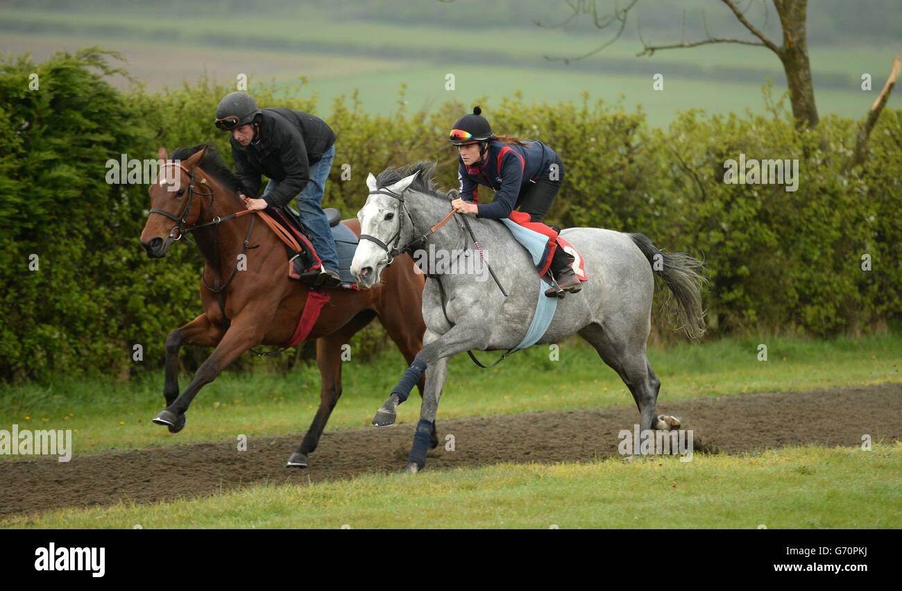 Horse Racing Richard Hannon Stable Visit Herridge Racing Stables Stock Photo Alamy