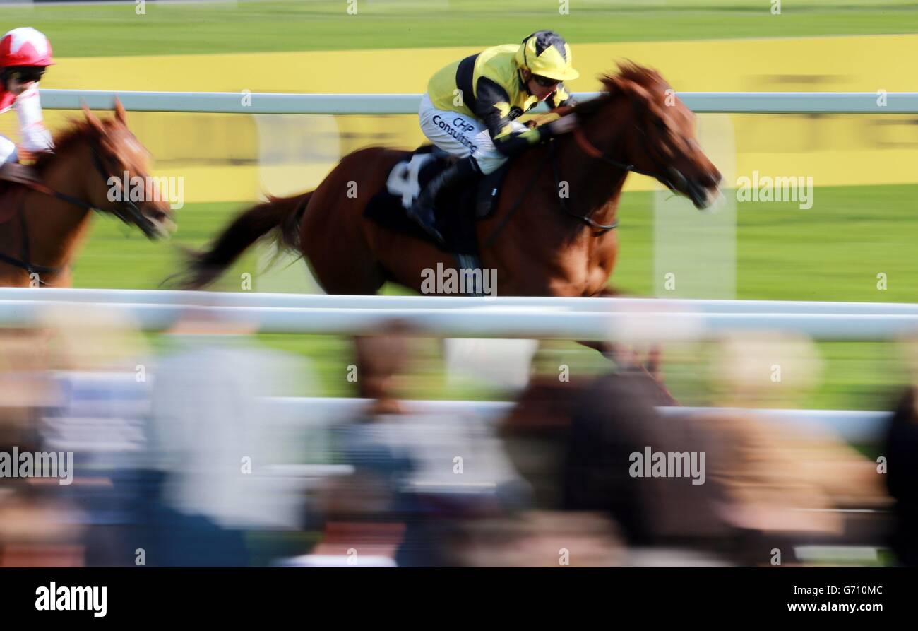 Horse Racing - Dubai Duty Free Weekend - Newbury Stock Photo - Alamy