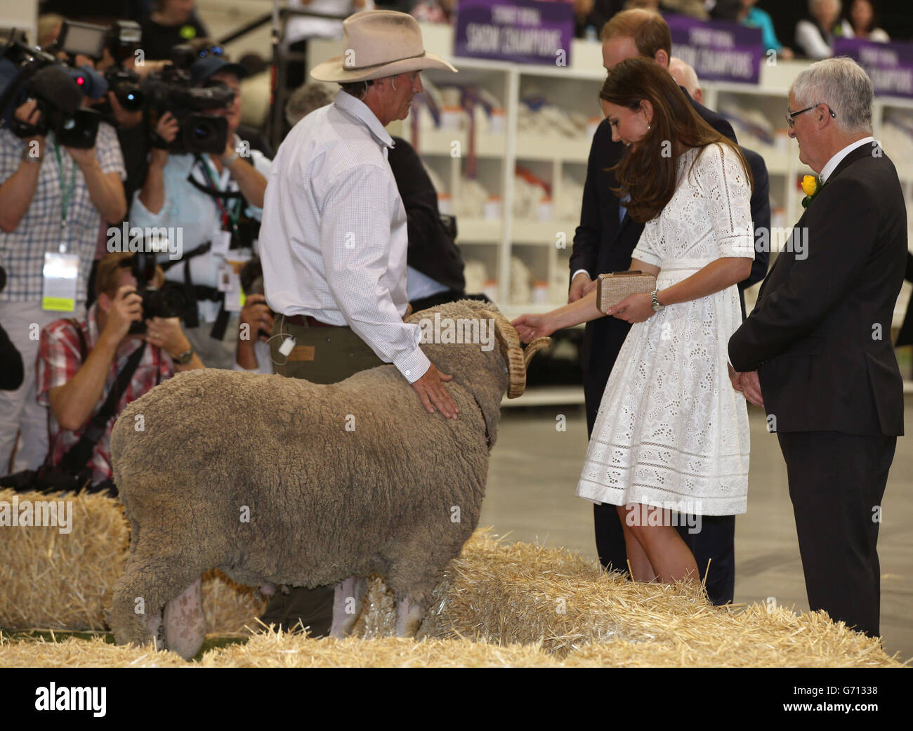 The Duke and Duchess of Cambridge meet a ram as they view agricultural stands at the Royal Easter Show at Sydney Olympic Park during the twelfth day of the Duke and Duchess of Cambridge's official tour to New Zealand and Australia. Stock Photo