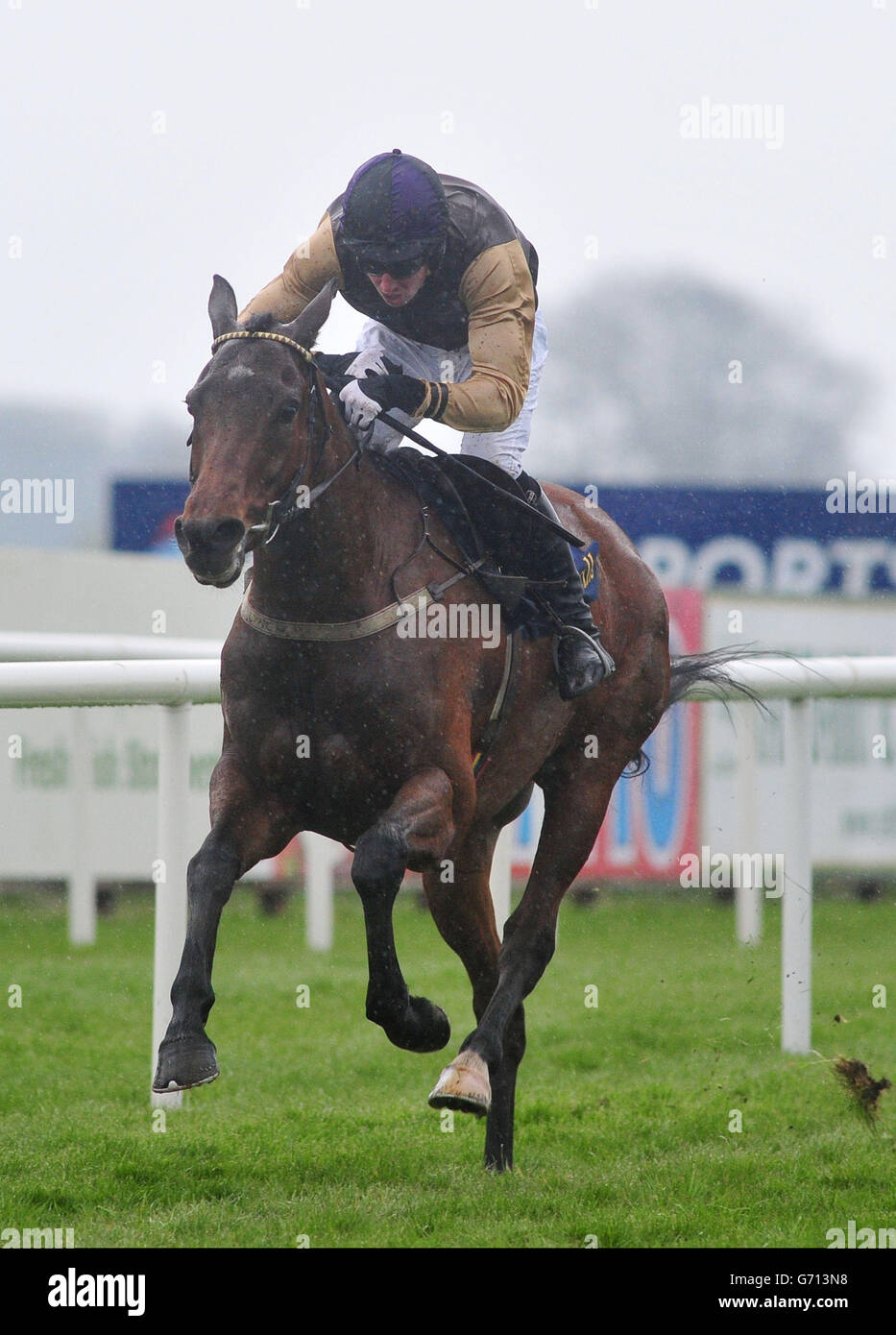Jockey Mark Lynch rides Moon Racer to victory in The Tattersalls Ireland George Mernagh Memorial Sales Bumper during Powers Gold Cup Day at Fairyhouse Racecourse, County Meath. Stock Photo