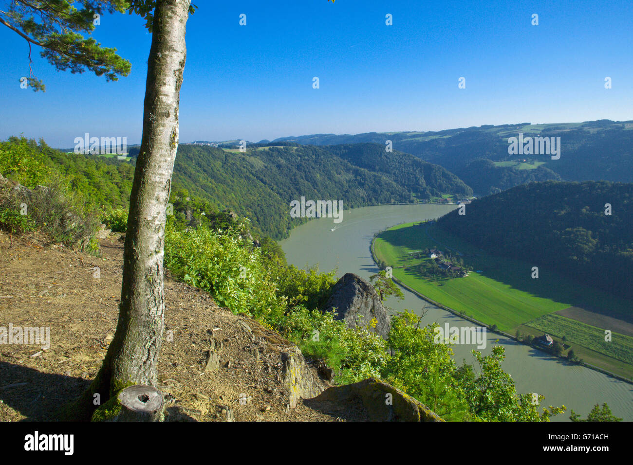 Schlogen sinuosity of river Danube, view from Steinerner Felsen near Mannsdorf, Upper Austria, Austria / Schlögener Schleife Stock Photo