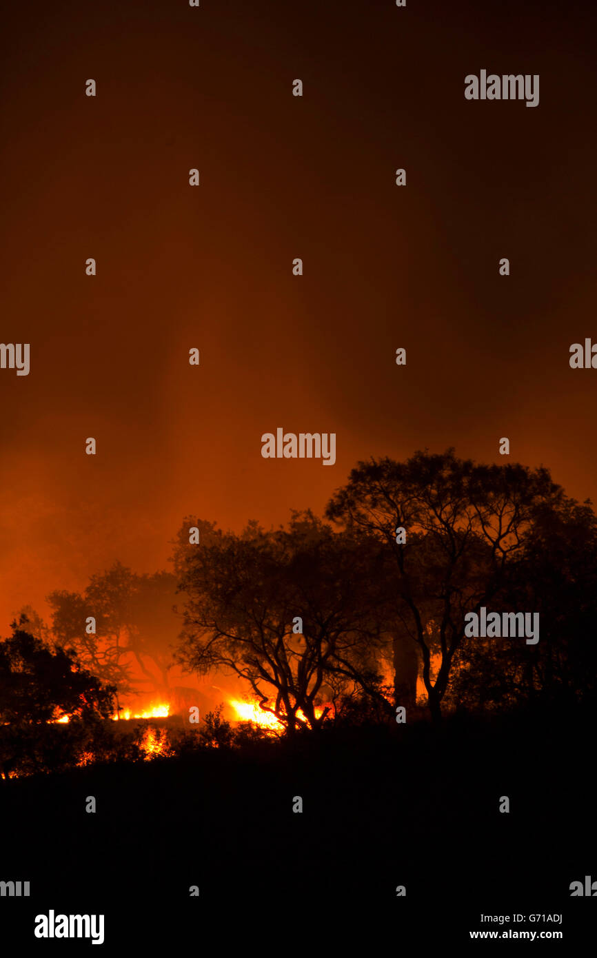 Bush fire, KwaZulu-Natal, South Africa / bushfire, brush fire, brushfire Stock Photo