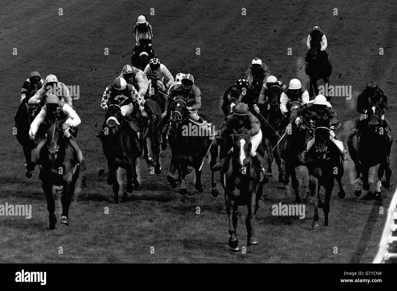 Horse Racing The Derby Stakes Epsom Stock Photo Alamy