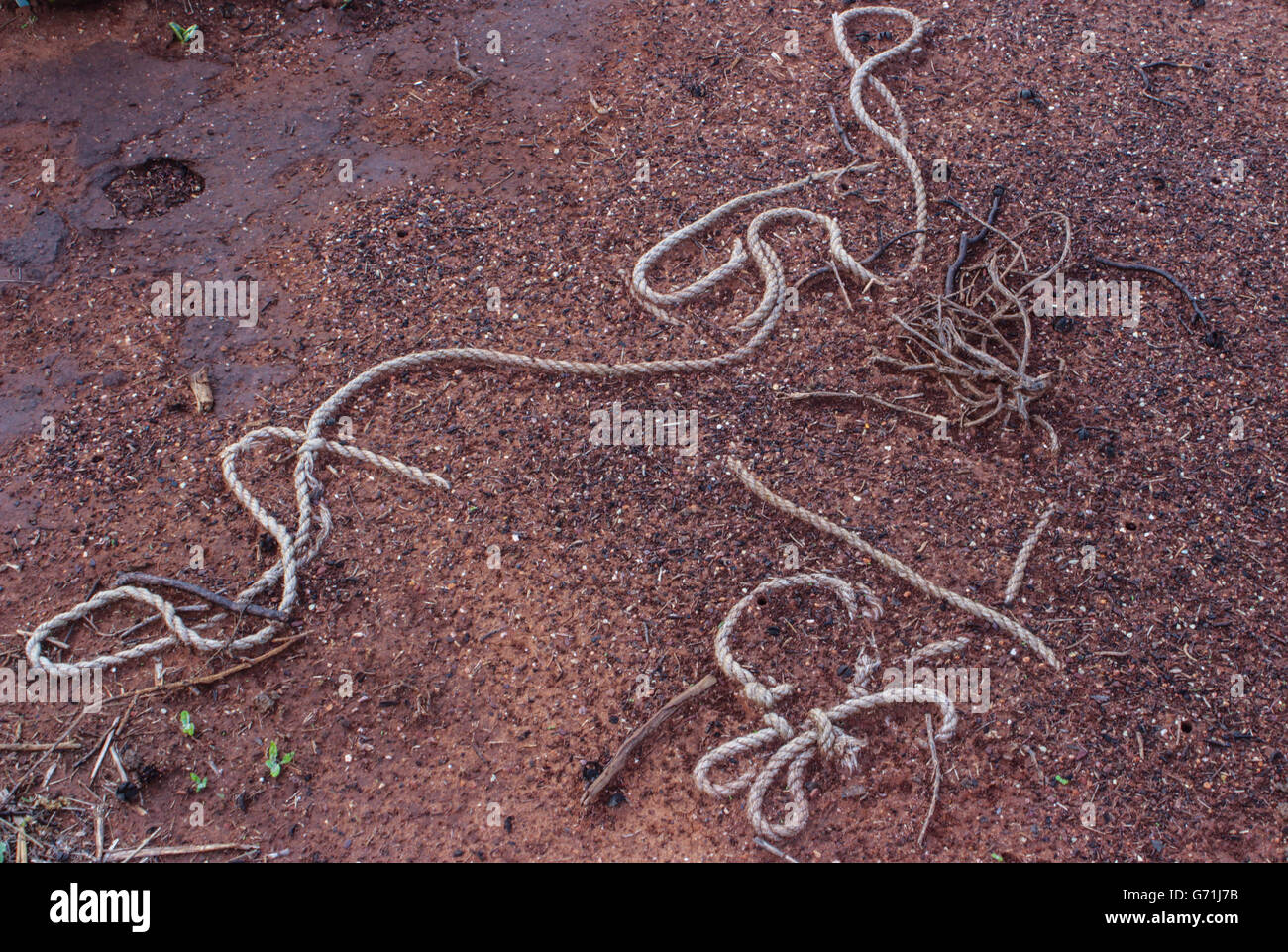 Outback Australia red dirt dried out with a rope through it Stock Photo