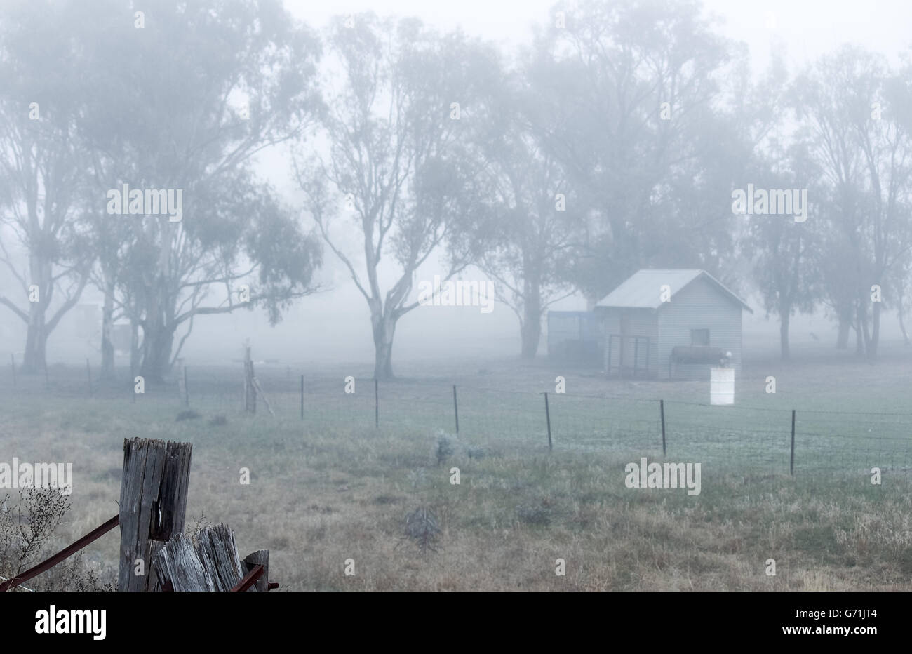 Early morning country walk along the railway lines into the fog and frost. Visibility low Stock Photo