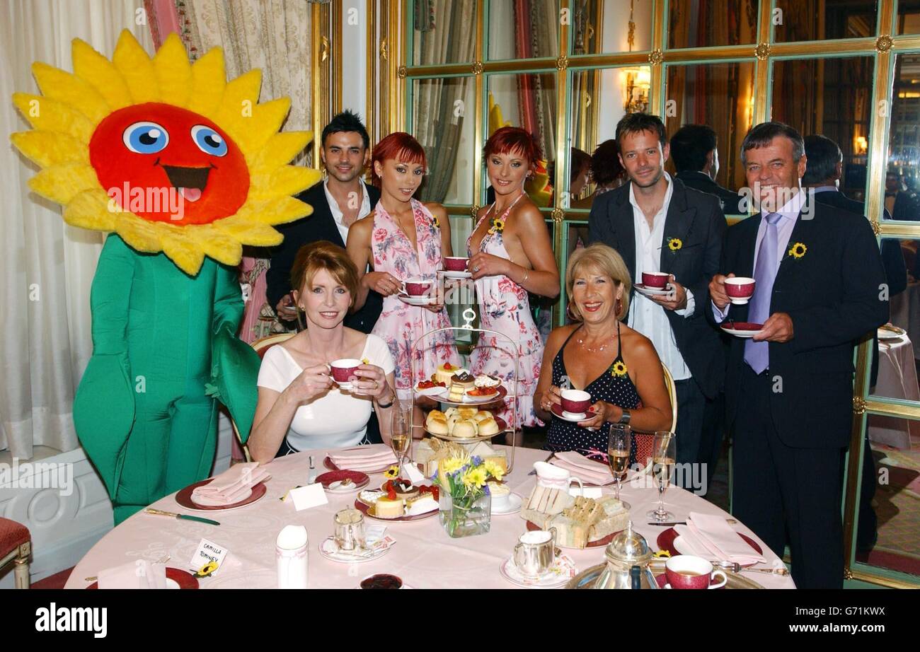 Tea at 3 Party at the Ritz Hotel Stock Photo Alamy