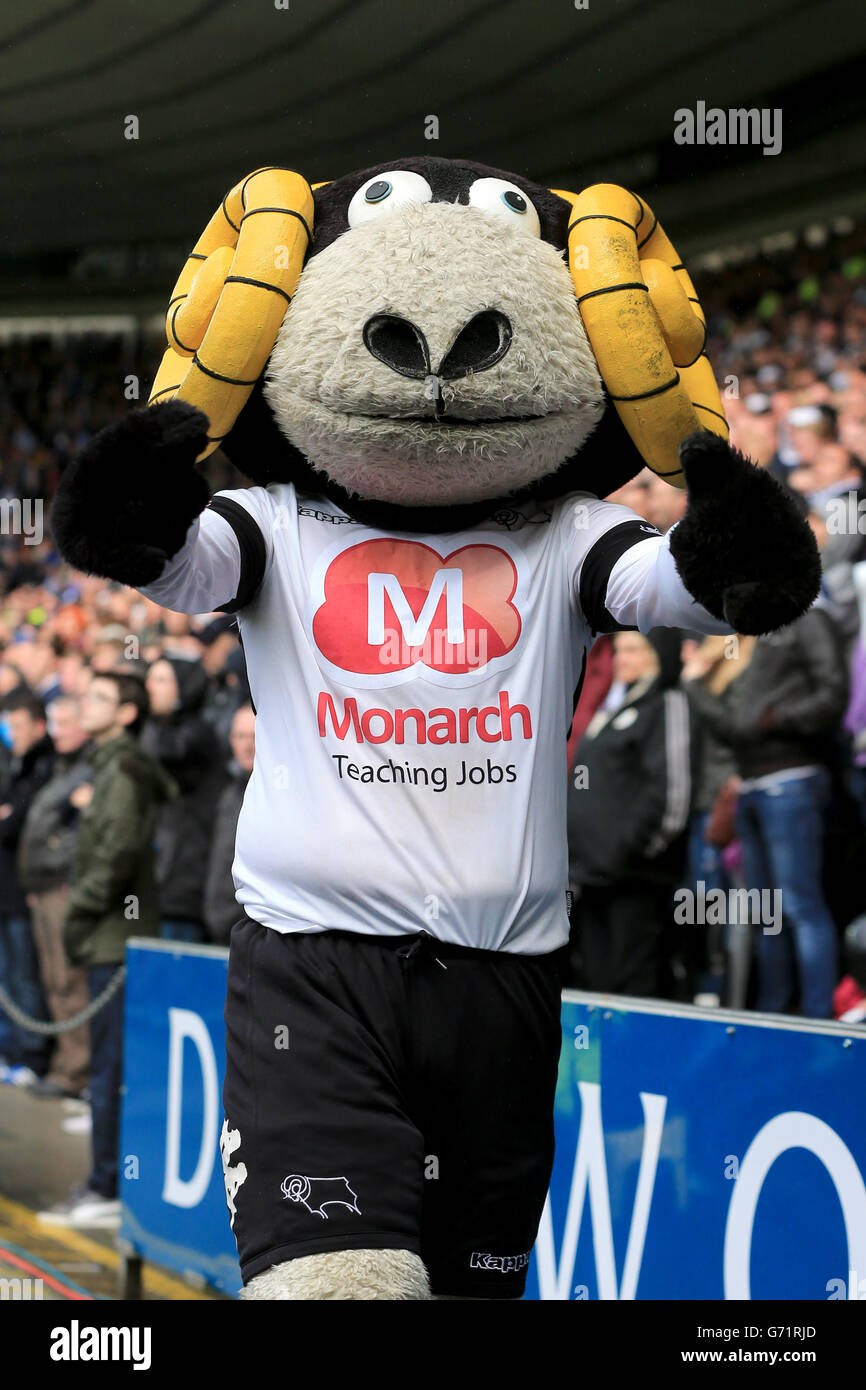 Soccer - Sky Bet Championship - Play-off Semi Final - Second Leg - Derby County v Brighton and Hove Albion - iPRO Stadium. Rammie, Derby County mascot Stock Photo