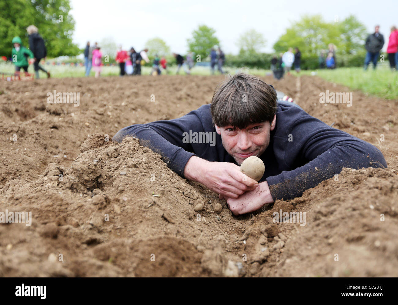 Alex James is helped planting potatoes by children from Kingham and Bledington Primary Schools at his farm near Kingham, Oxfordshire. The potatoes are being grown for the Big Feastival weekend which the former Blur member runs with TV chef Jamie Oliver. Stock Photo