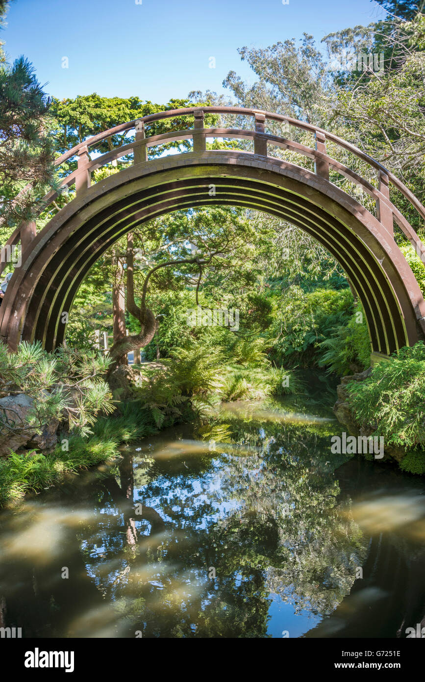 Curved Bridge Curved Bridge