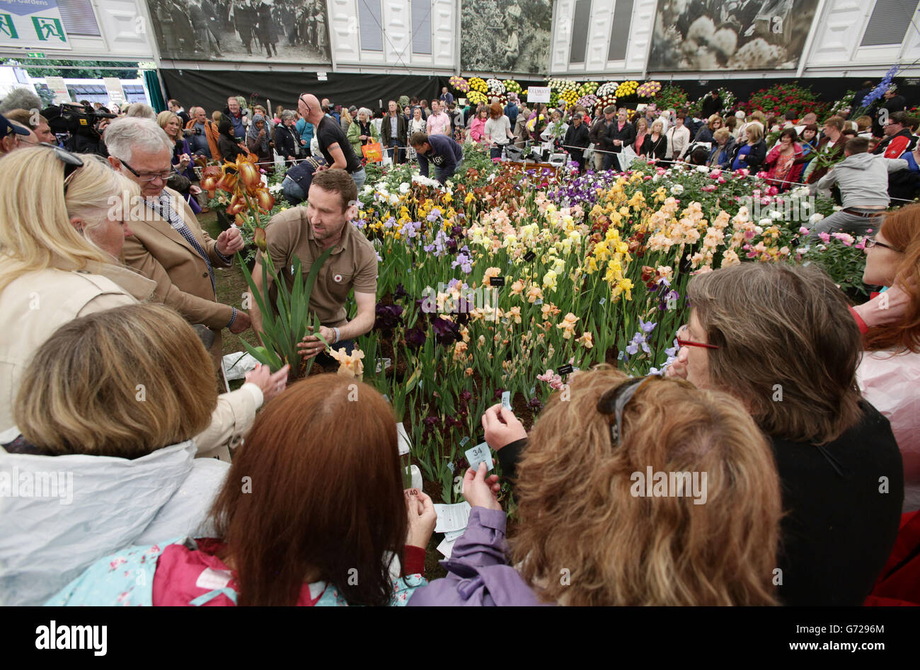 Chelsea Flower Show 2014 Stock Photo