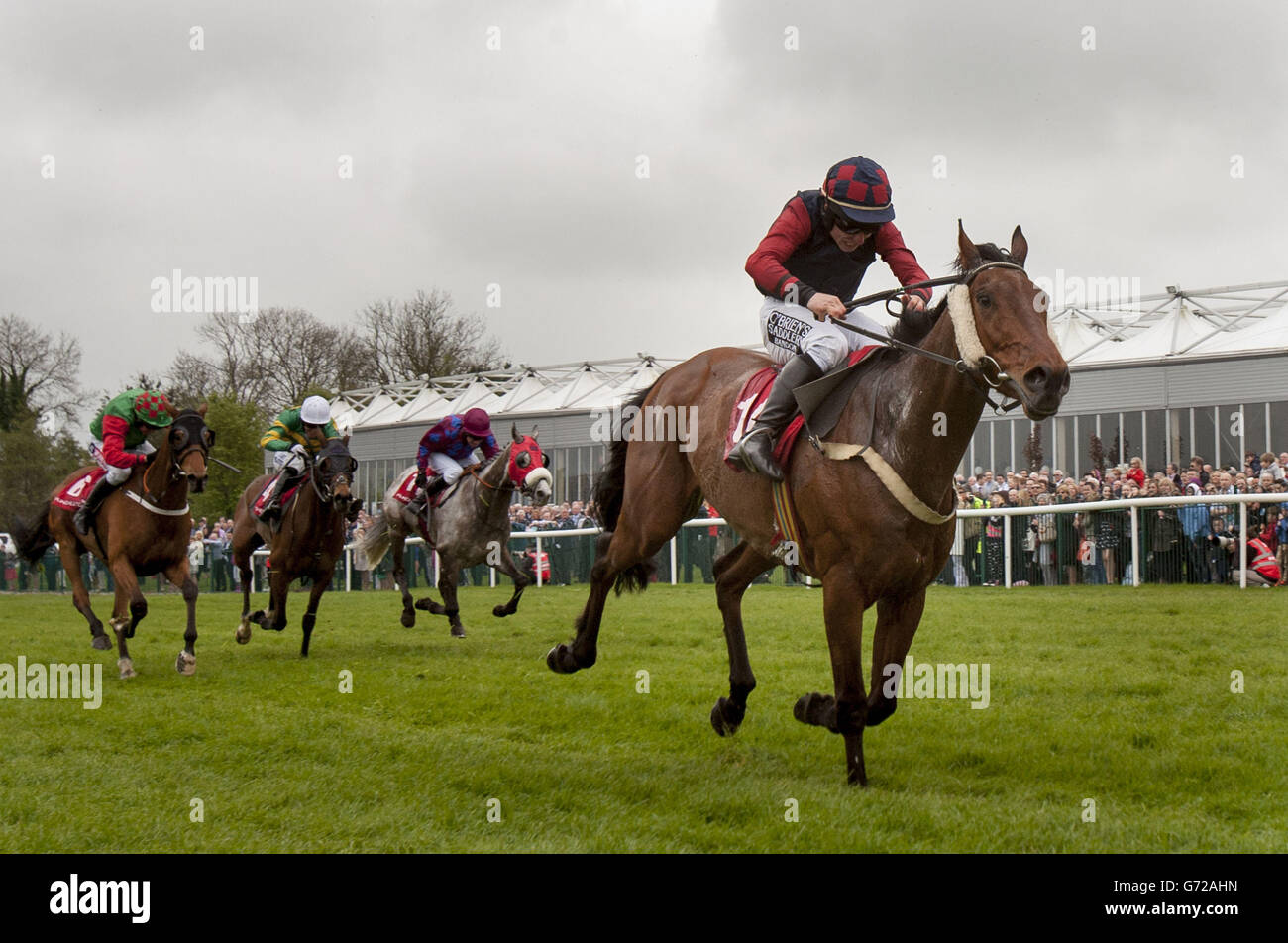 Horse Racing Punchestown Festival AES Festival Family Day