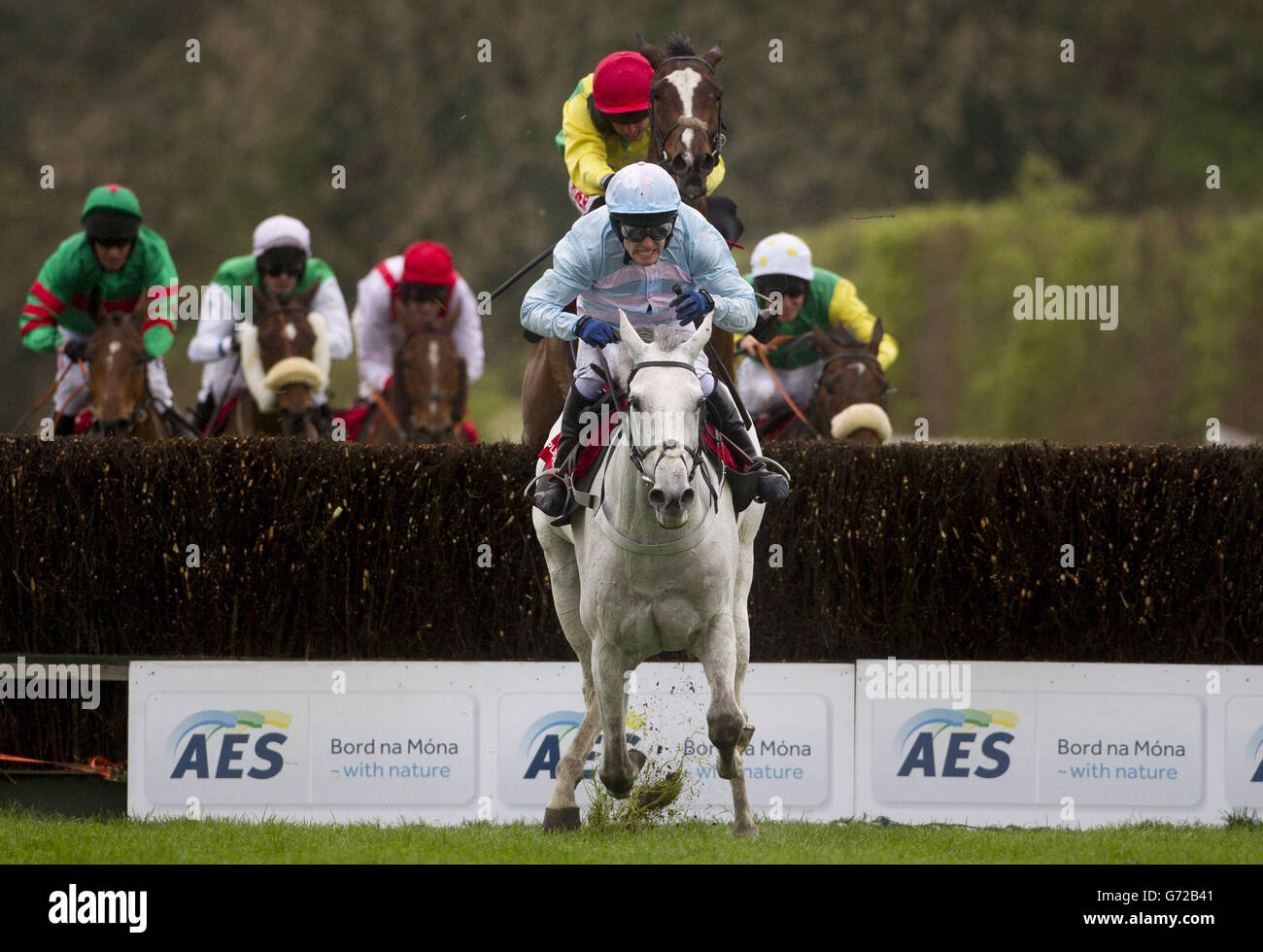 Chartreux ridden by Tom Scudamore wins The Palmerstown House Pat Taaffe Handicap Steeplechase
