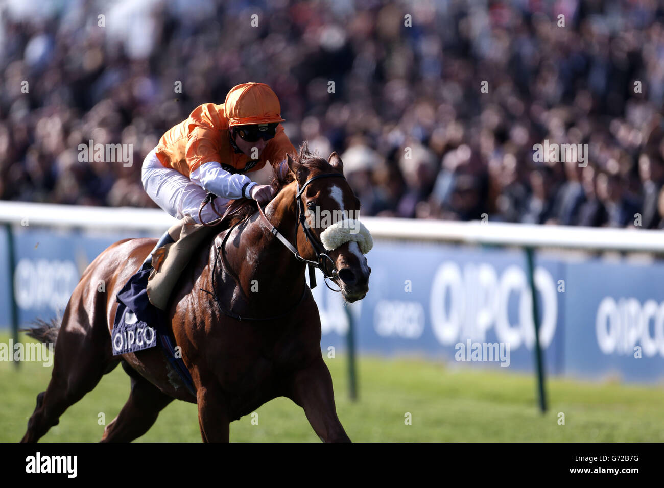 Hors De Combat ridden by Frederik Tylicki wins the Qipco Supports