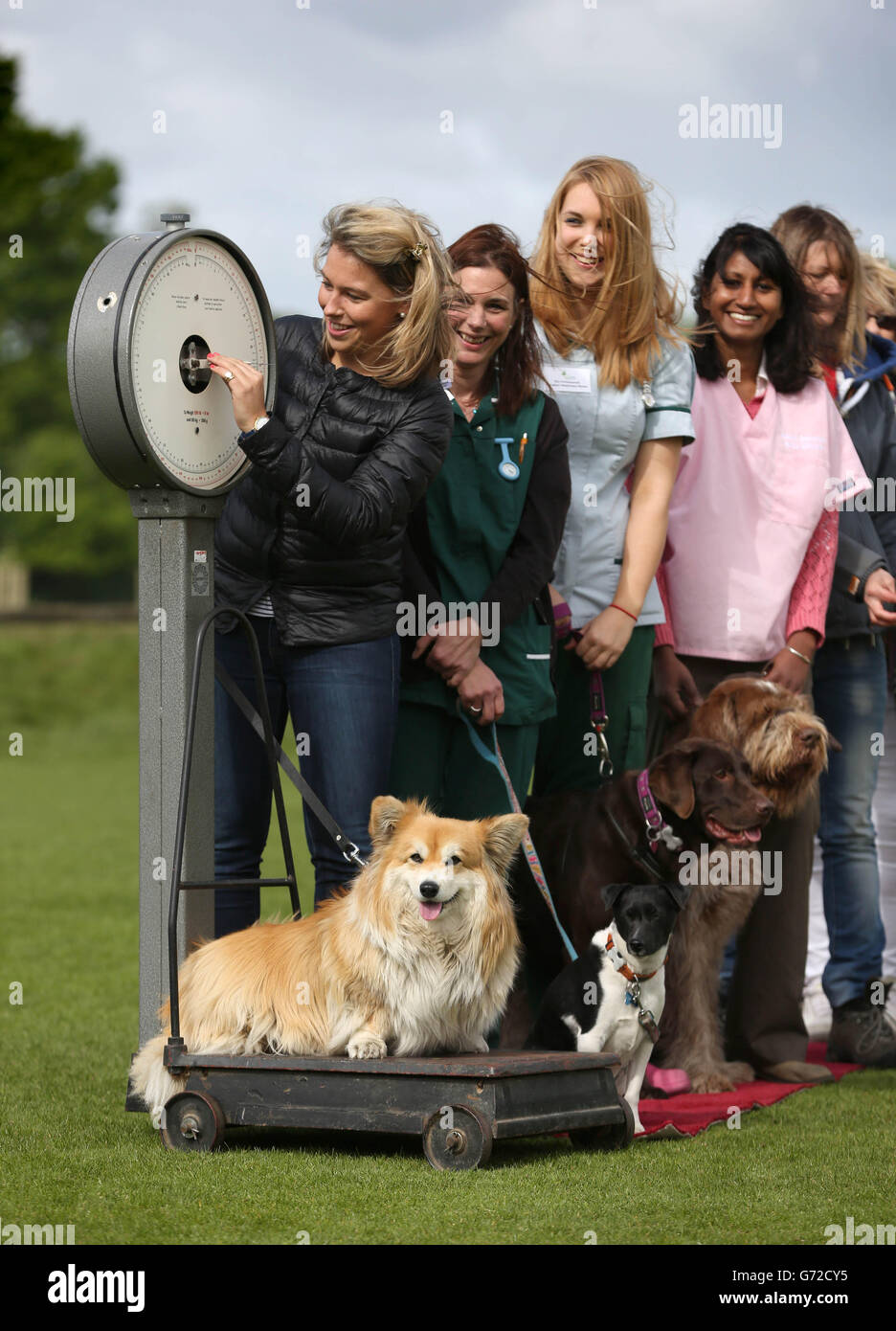 s (Pet Food Manufacturers Association) GetPetsFit campaign Stock Photo