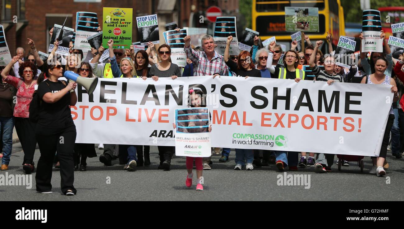 Animal Welfare conference Stock Photo Alamy