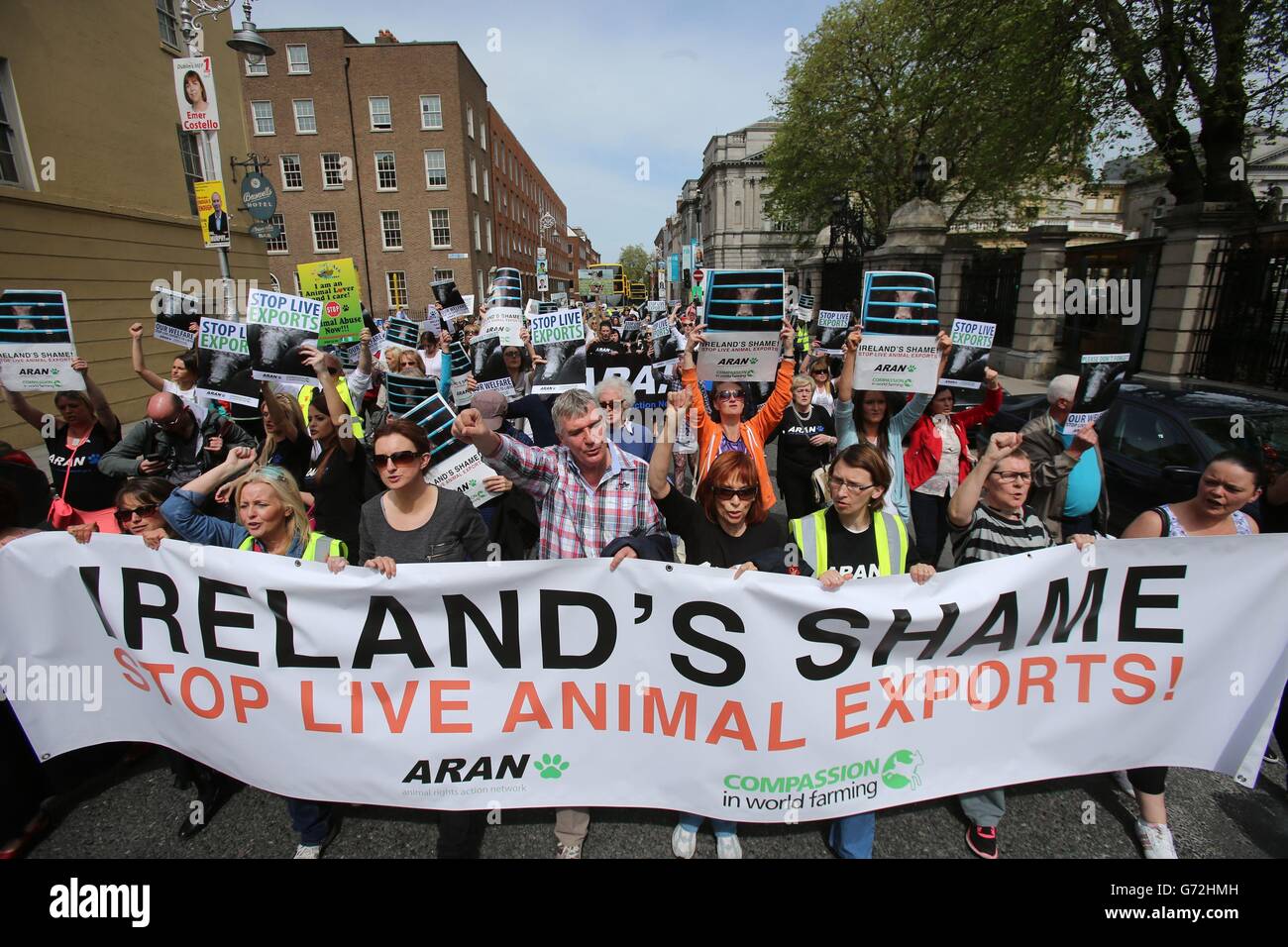Animal Welfare Conferences 2025 International Nan Lauren