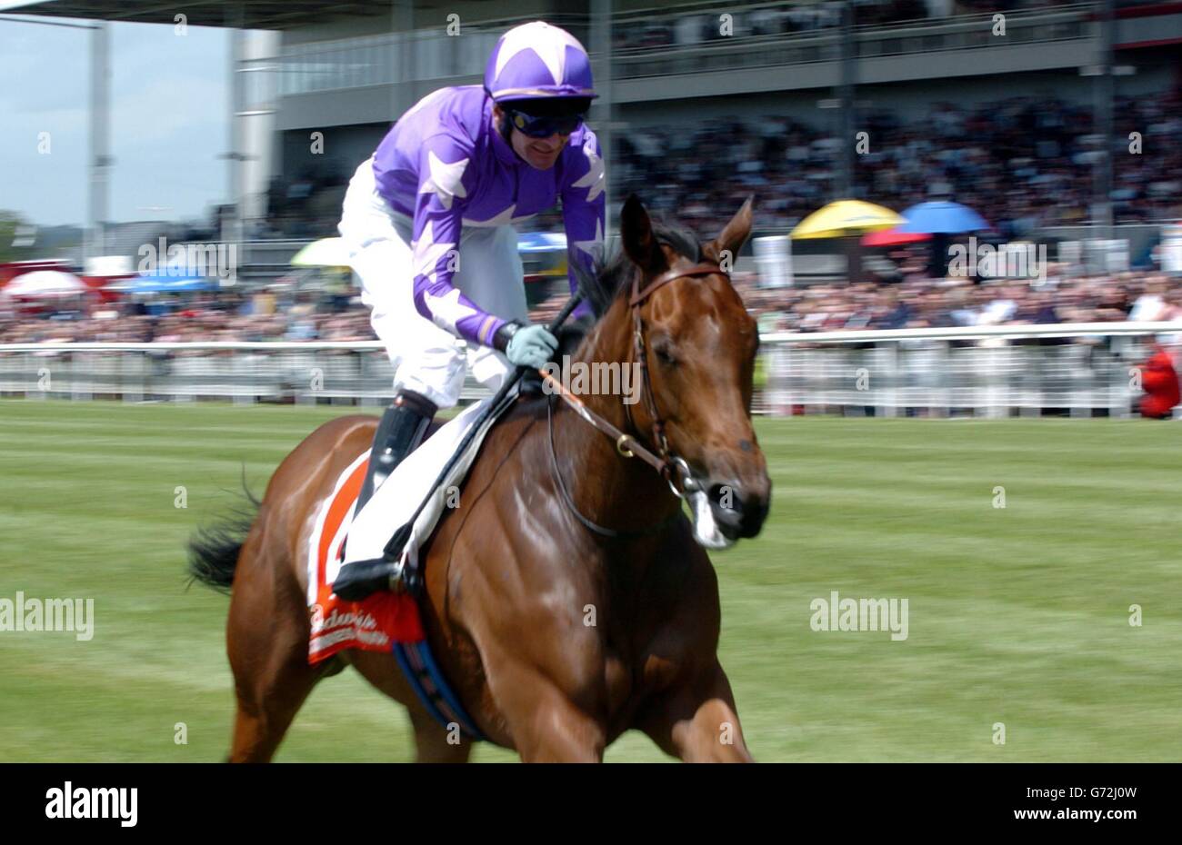 RACING Curragh 1 Stock Photo - Alamy