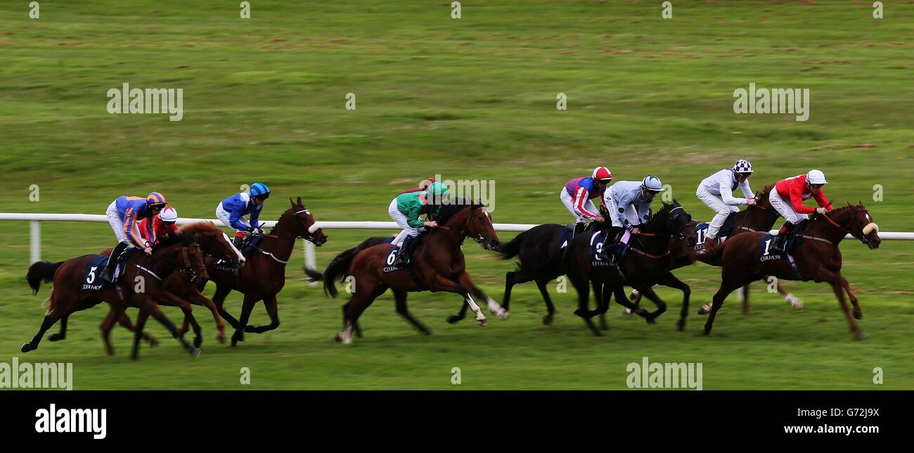 Horse Racing Crops Horse Racing - Coolmore Vintage Crop Stakes Day - Navan Racecourse ...