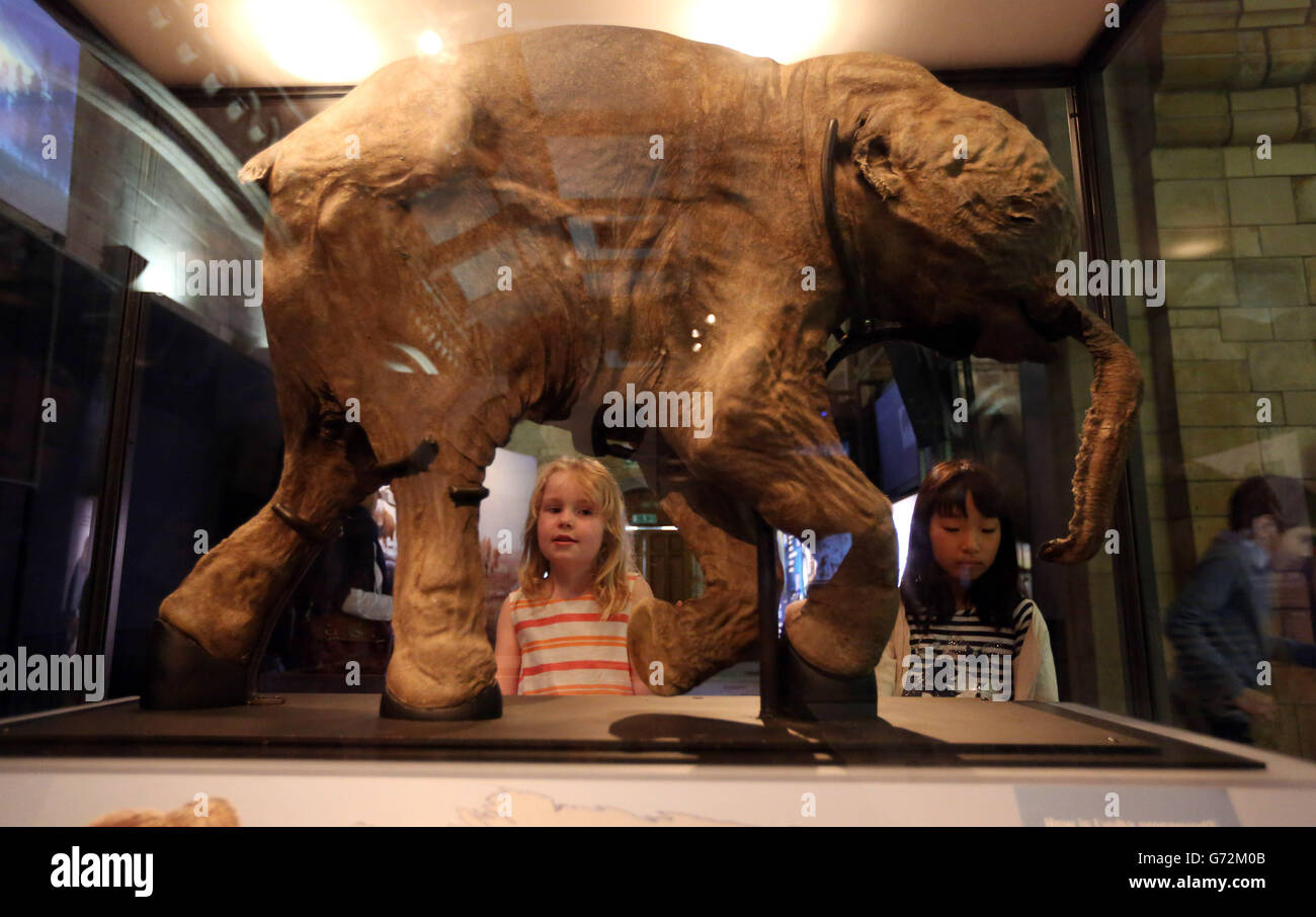 Ingrid Verwoerd, seven (left), and Mao Ishiguro, eight (right), look at an Lyuba Woolly Mammoth