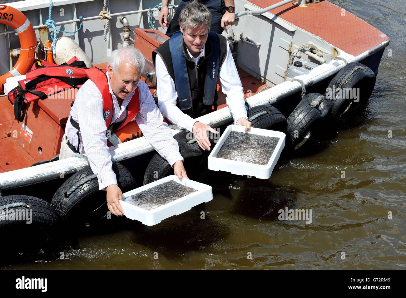 Zac Goldsmith MP (right) joins Andrew Kerr Chairman of the Sustainable Eel Group as they release 10,000 juvenile eels into the River Thames from a boat in front of the Houses of Parliament, central London, during a photocall to publicise a conservation mission to relocate more than 90 million critically endangered European eels. Stock Photo